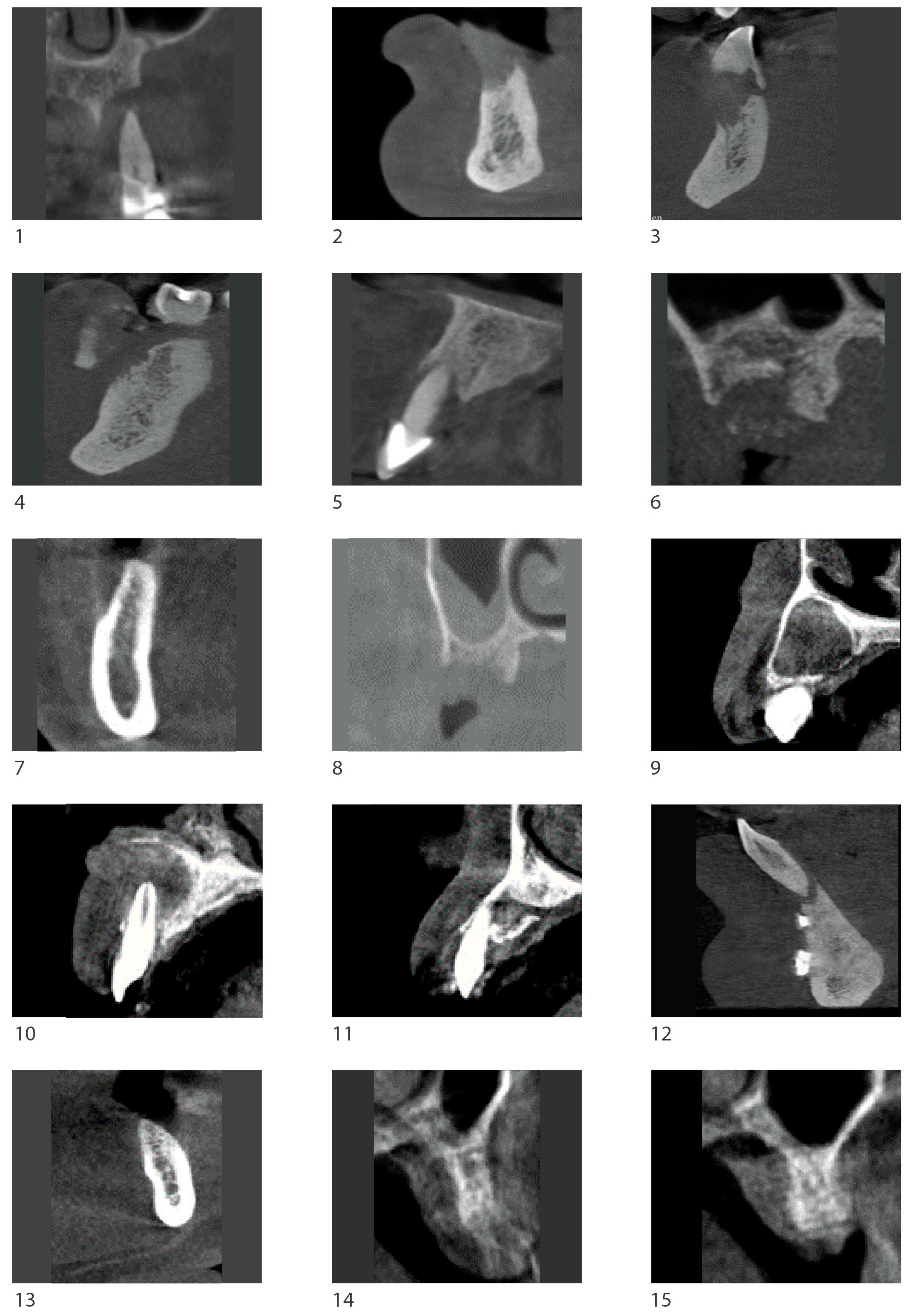 Biomimetics 10 00165 g001