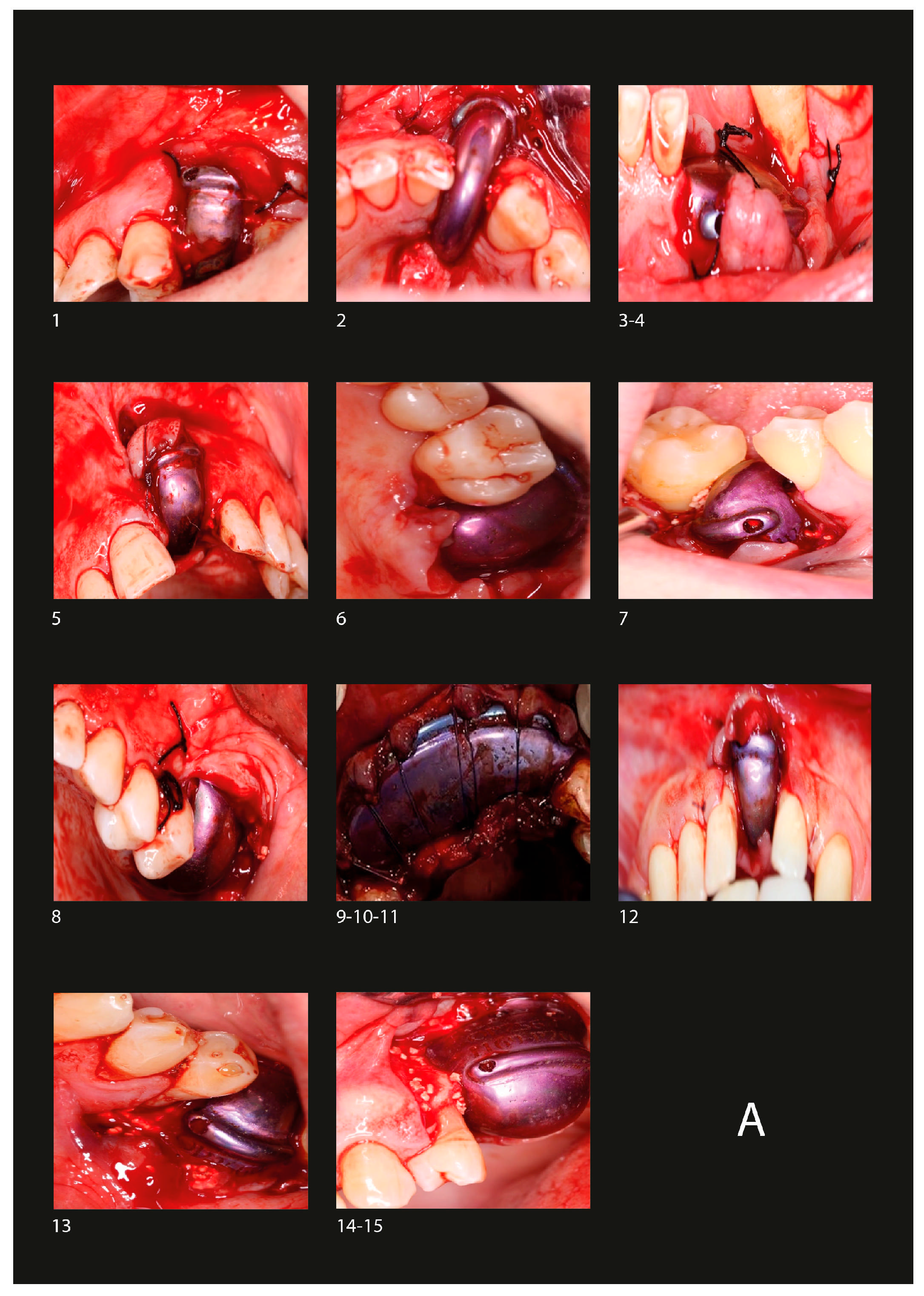 Biomimetics 10 00165 g003a