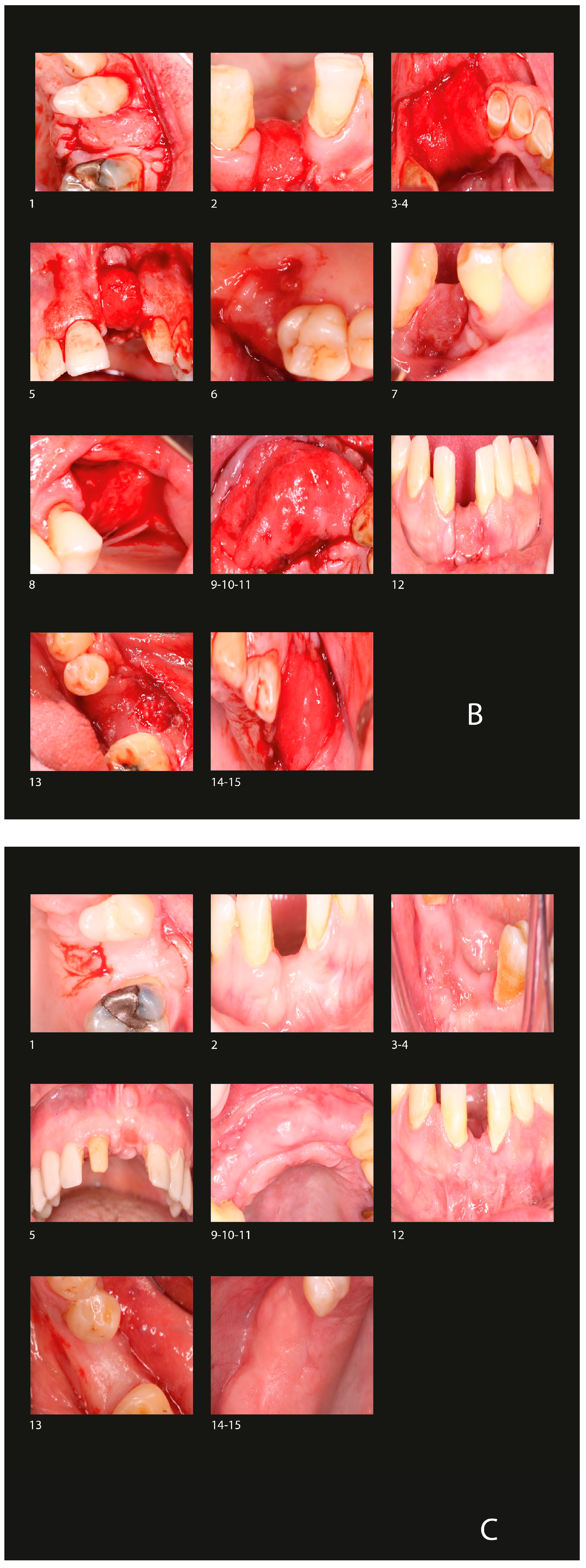 Biomimetics 10 00165 g003b
