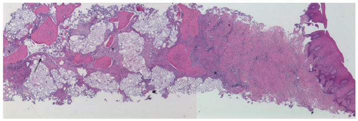 Biomimetics 10 00165 i001