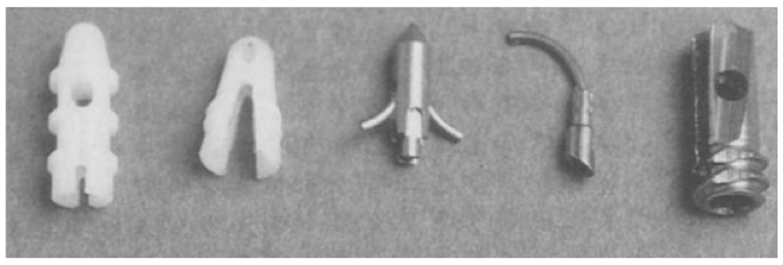 Biomimetics 10 00175 g001