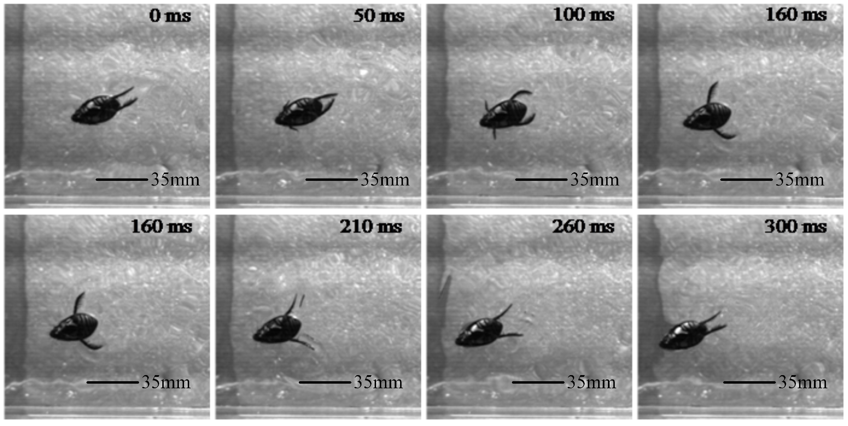 Biomimetics 10 00182 g002