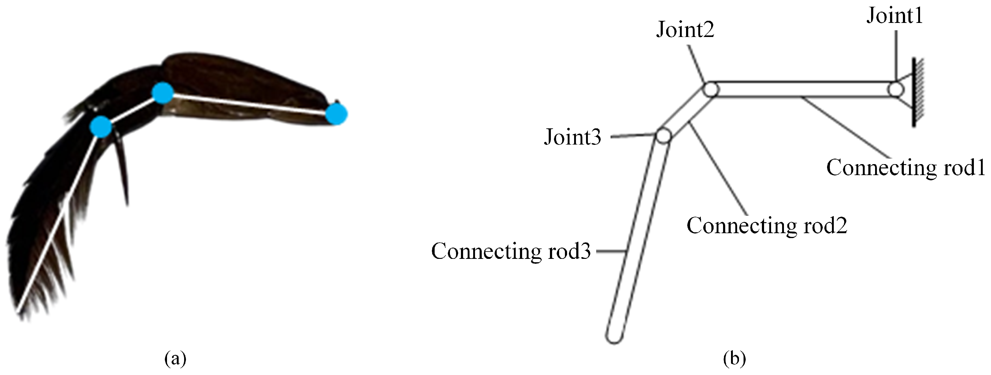 Biomimetics 10 00182 g004