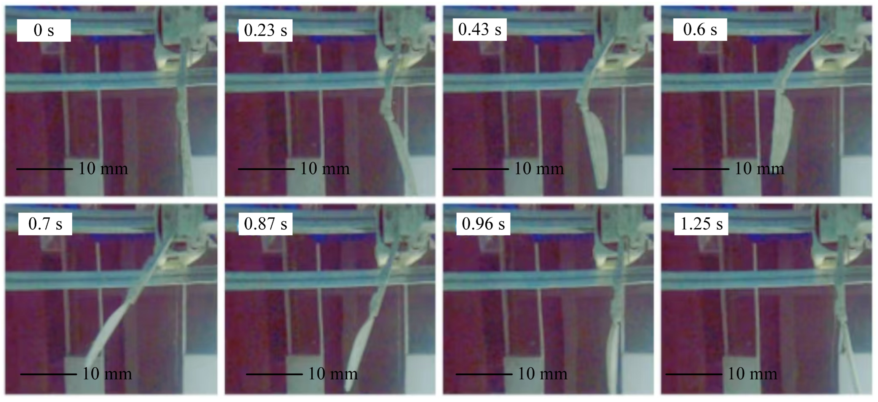 Biomimetics 10 00182 g020