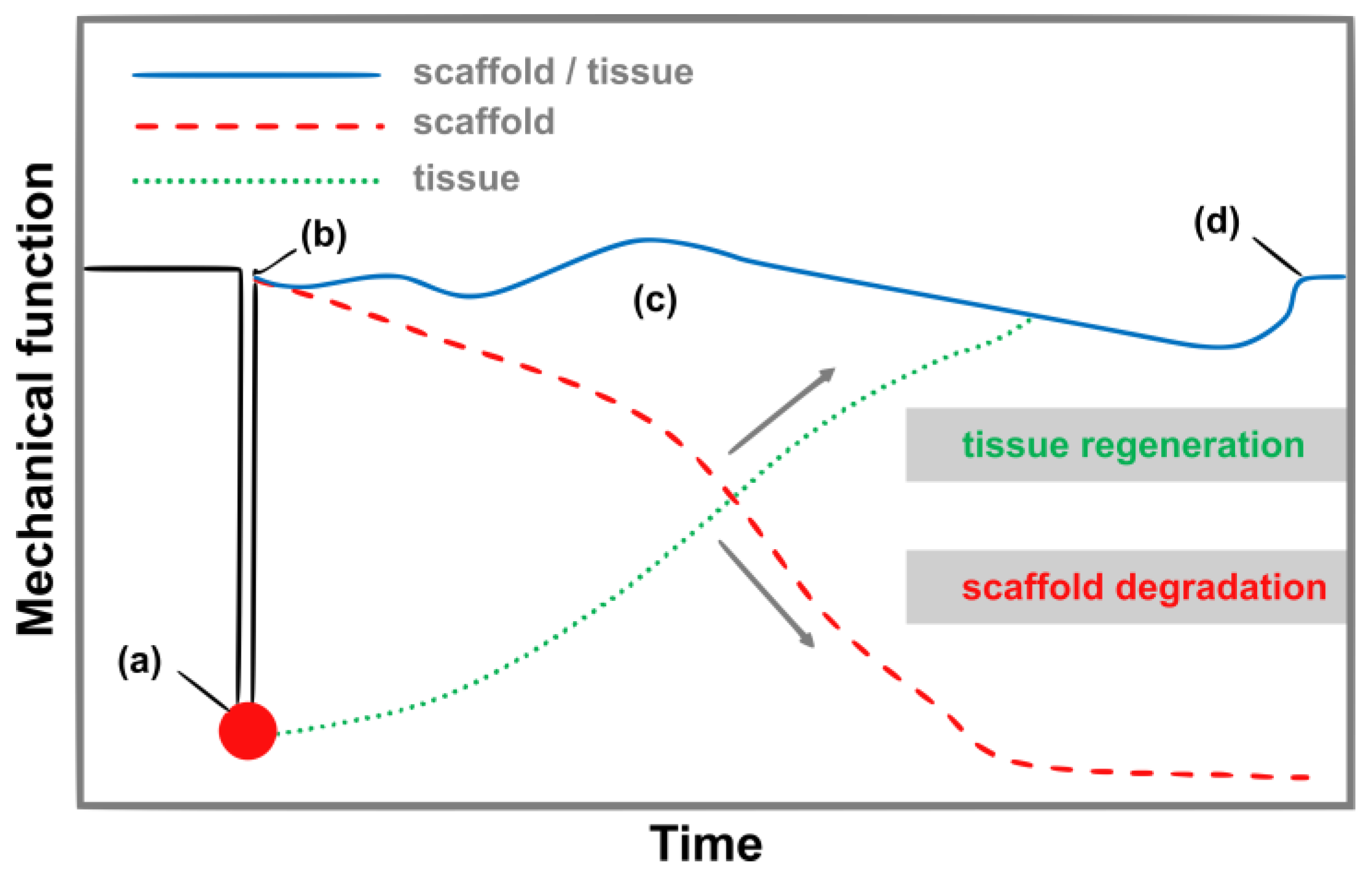Biomimetics 10 00184 g002
