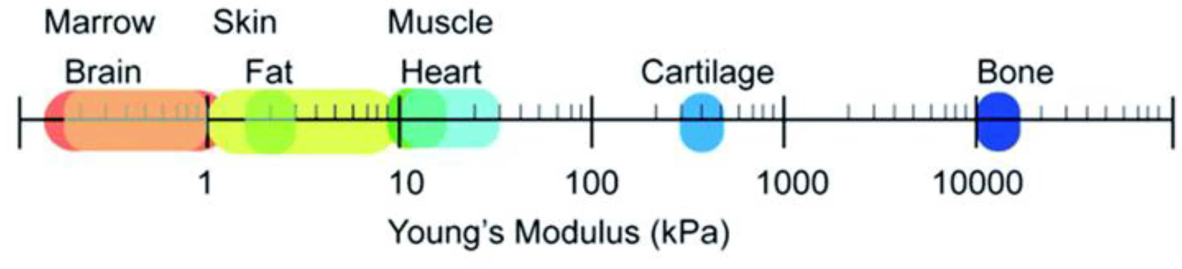 Biomimetics 10 00184 g004
