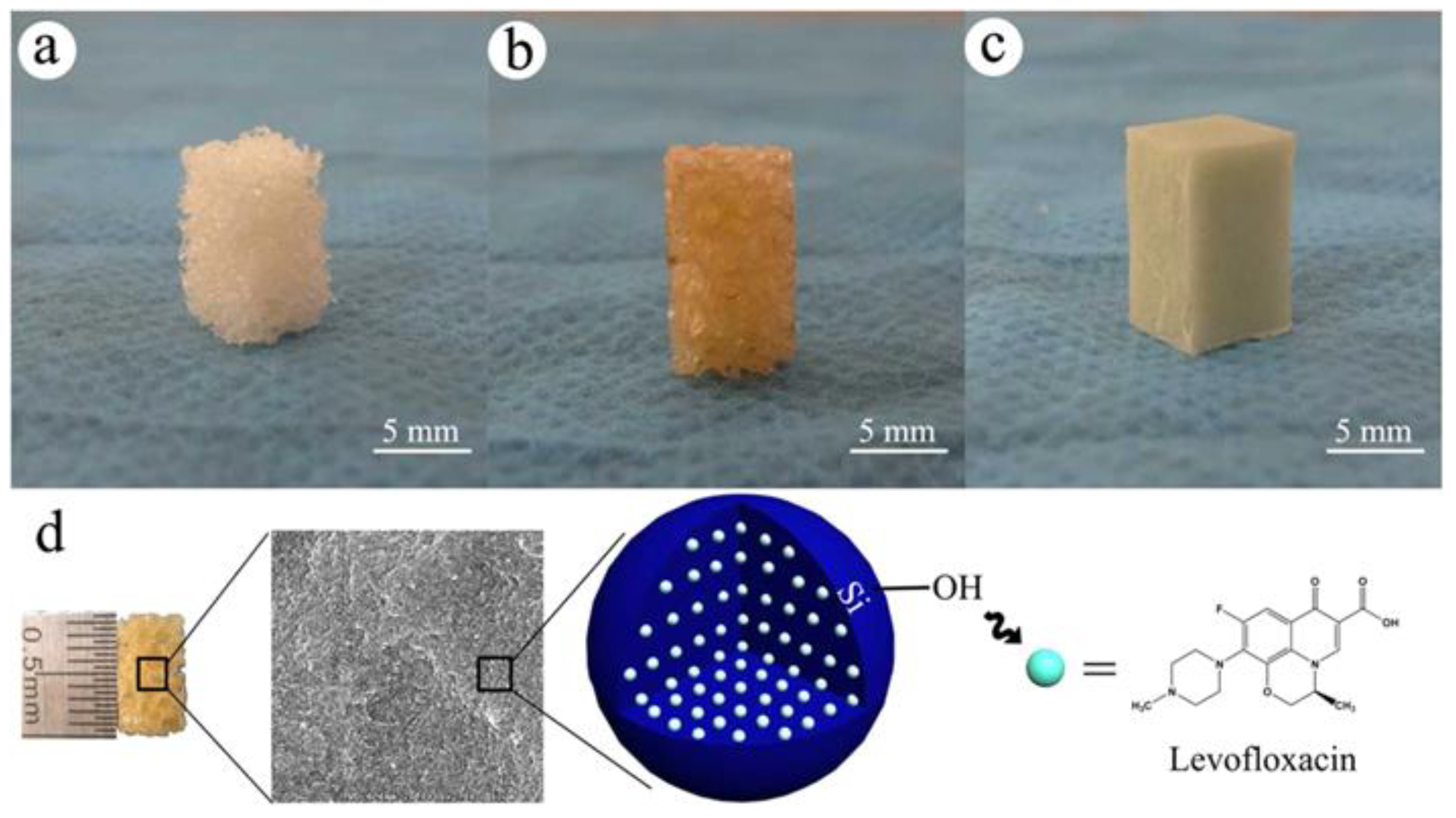 Biomimetics 10 00184 g006