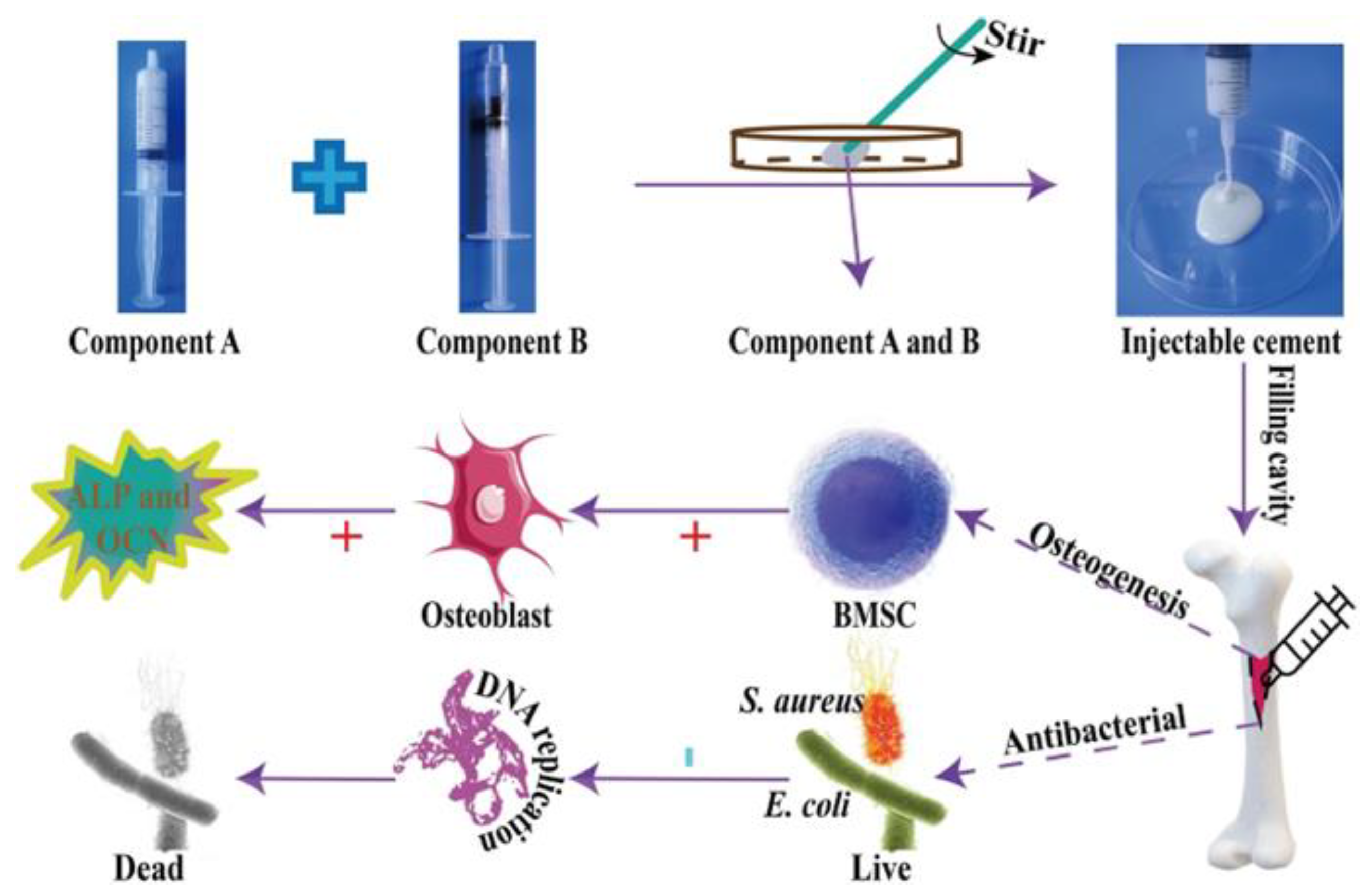 Biomimetics 10 00184 g007