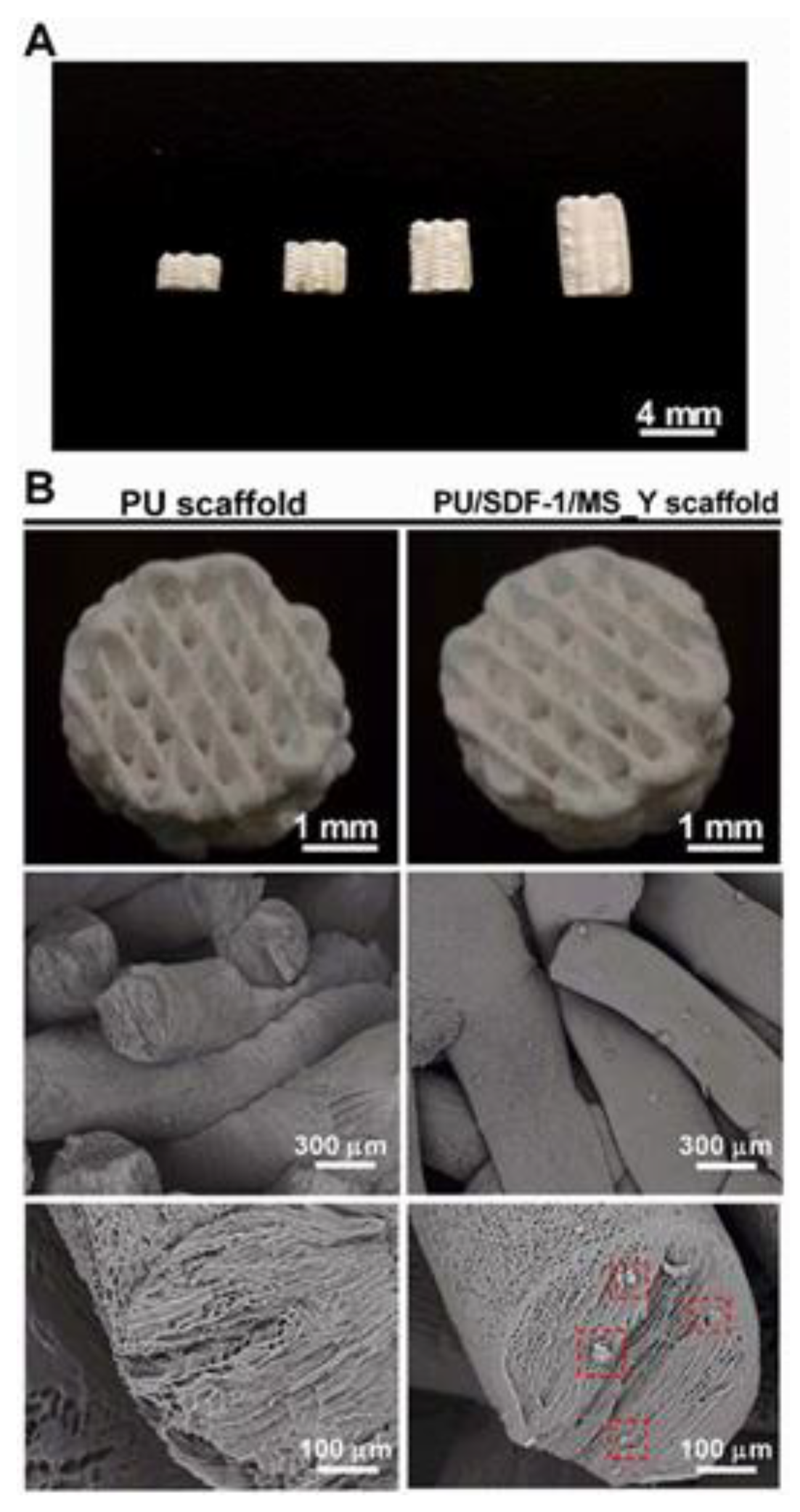 Biomimetics 10 00184 g010