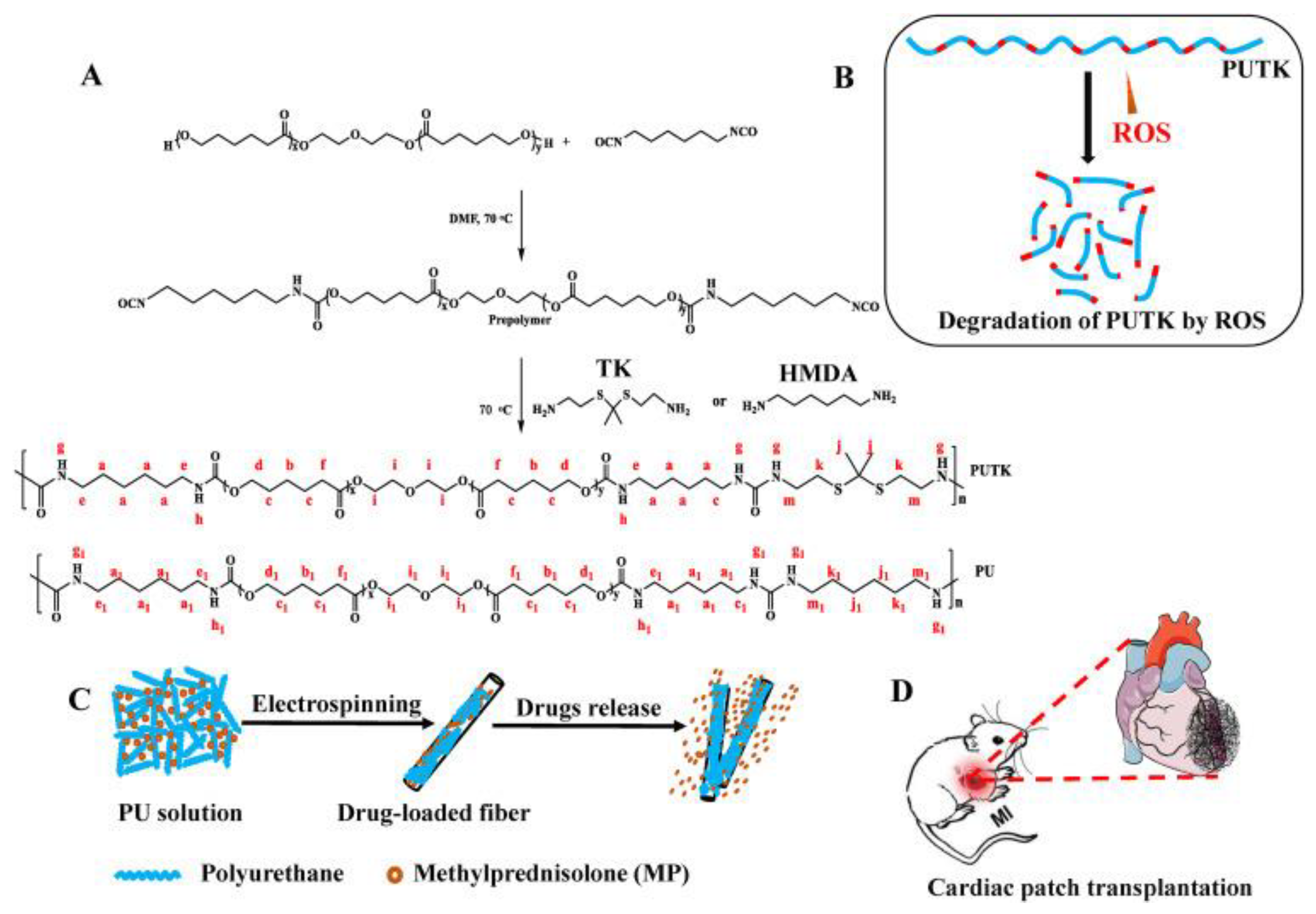 Biomimetics 10 00184 g013