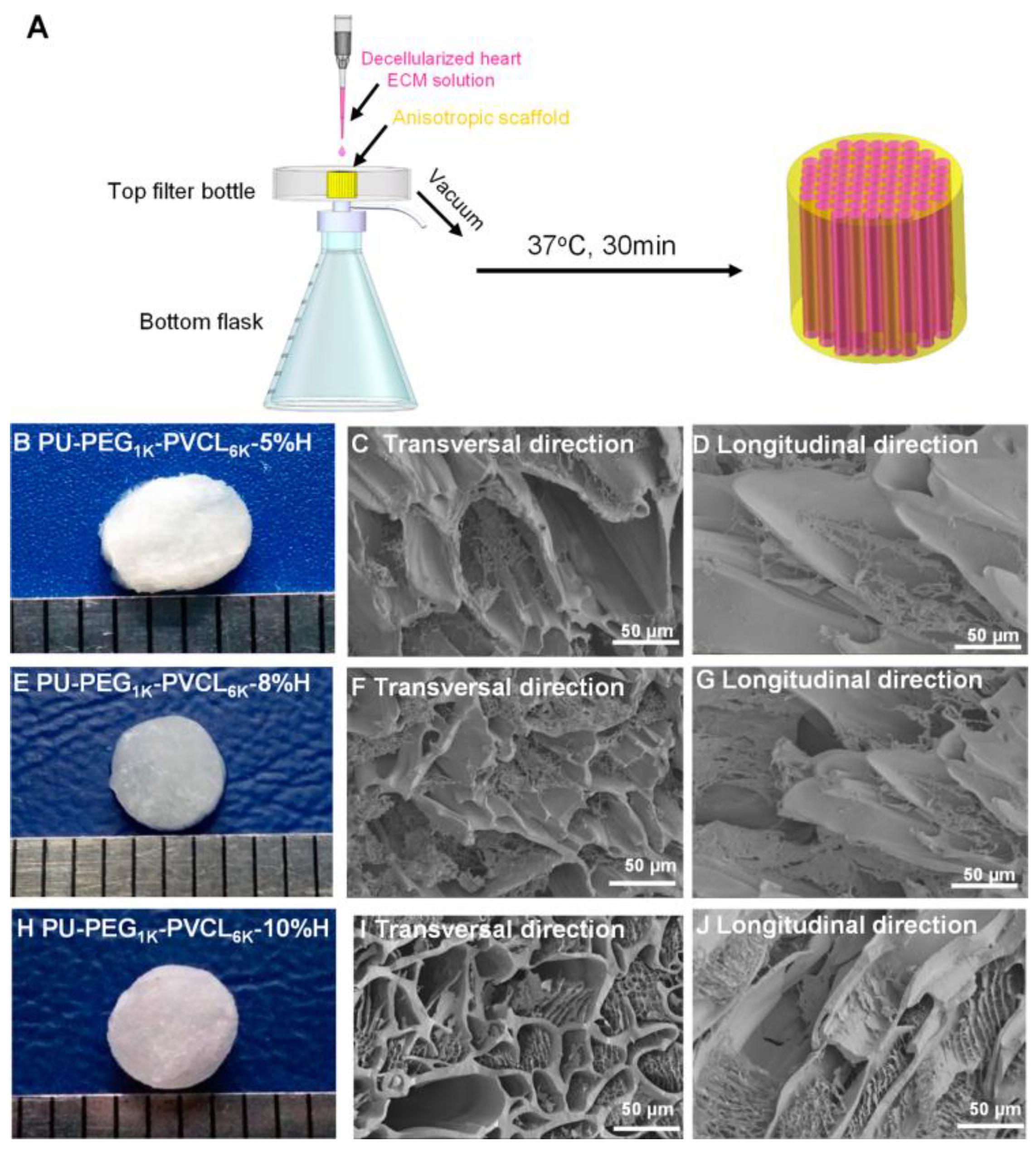 Biomimetics 10 00184 g014