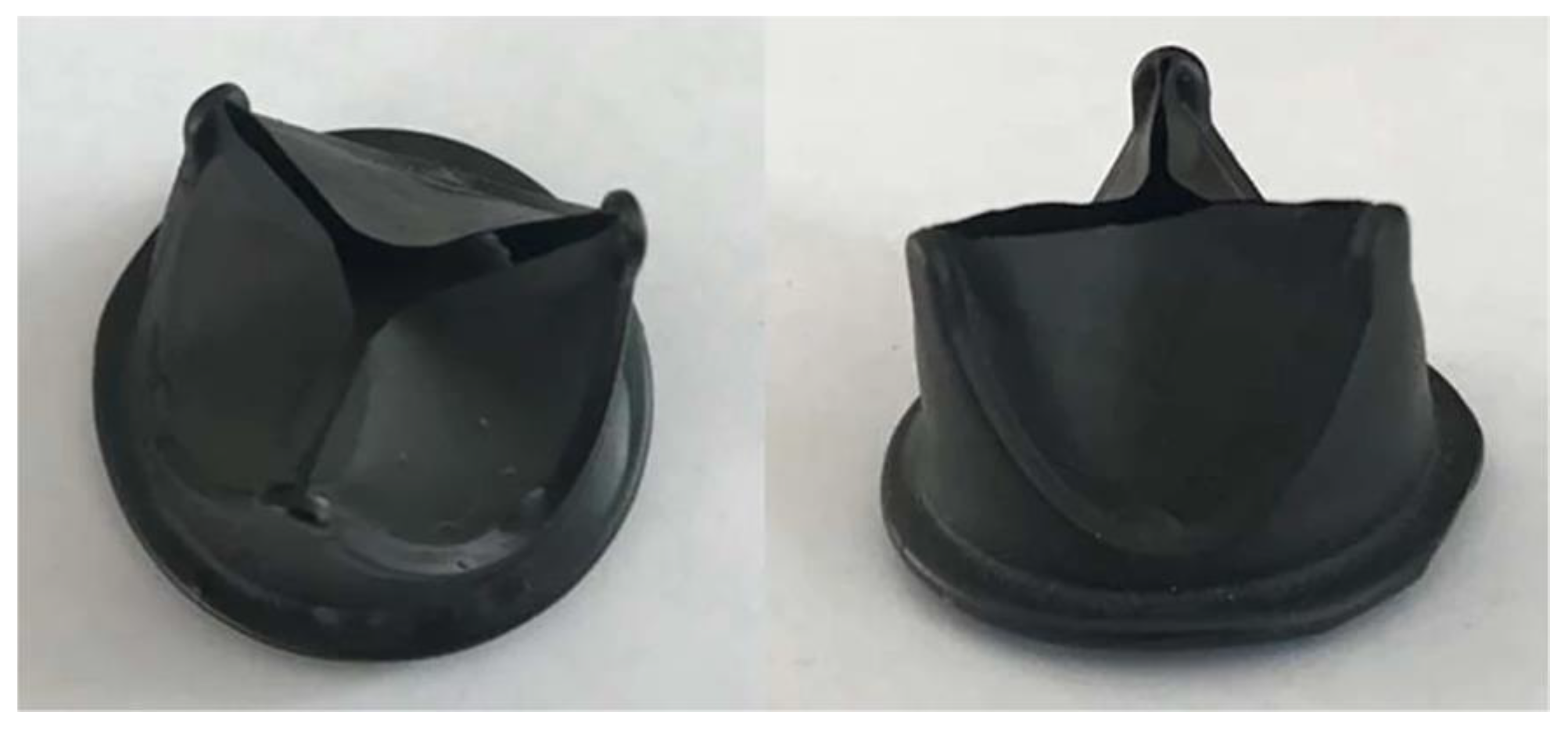 Biomimetics 10 00184 g015