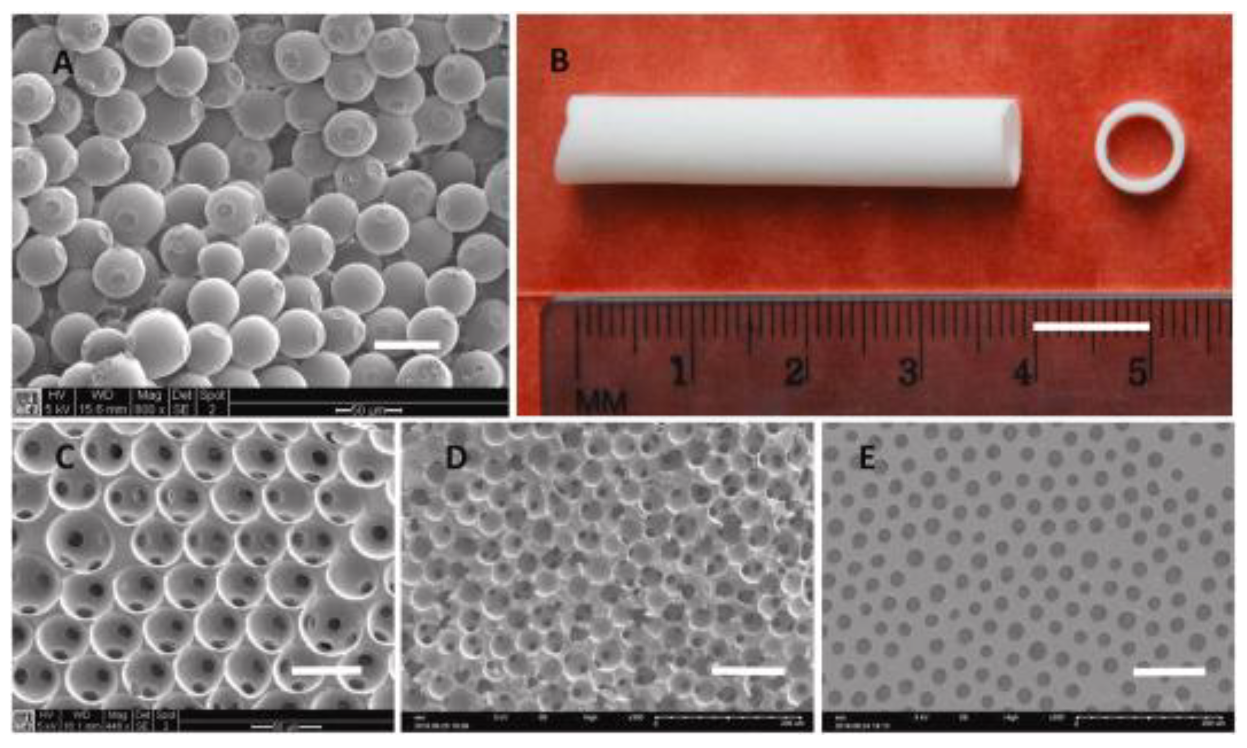 Biomimetics 10 00184 g016