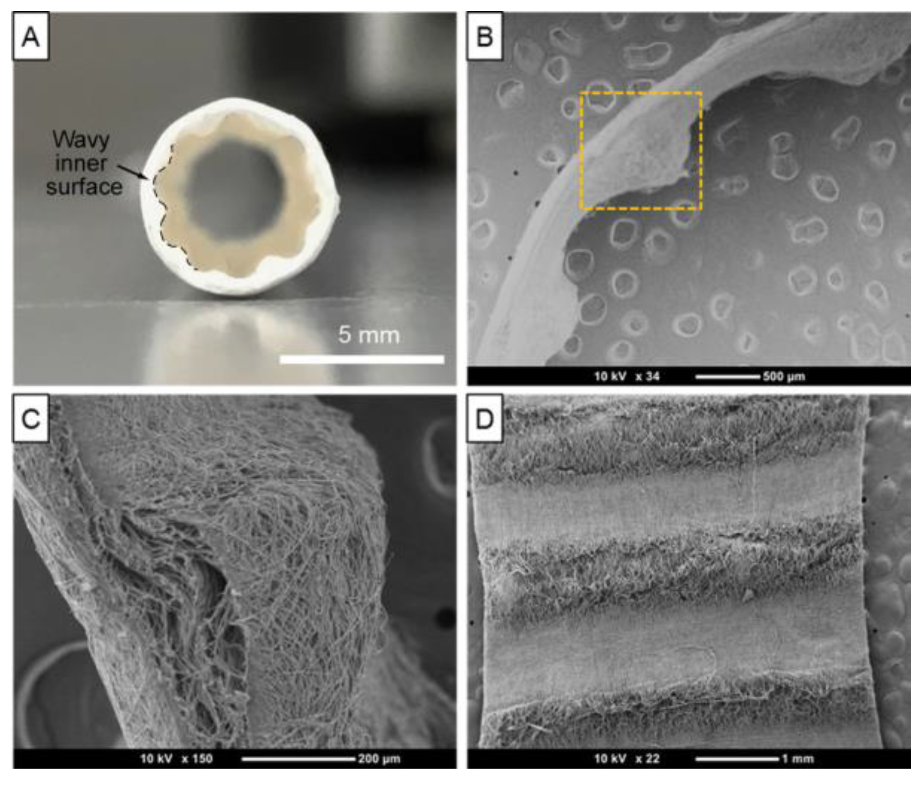 Biomimetics 10 00184 g017