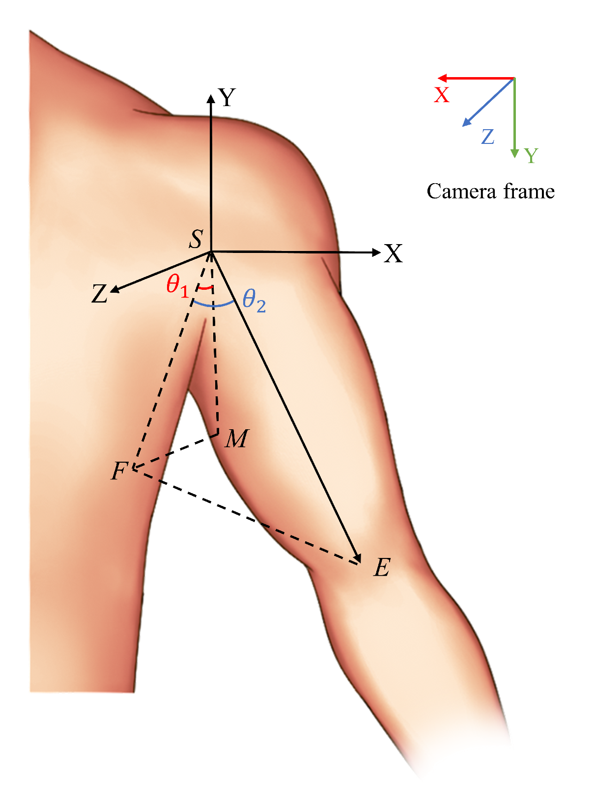 Biomimetics 10 00190 g003