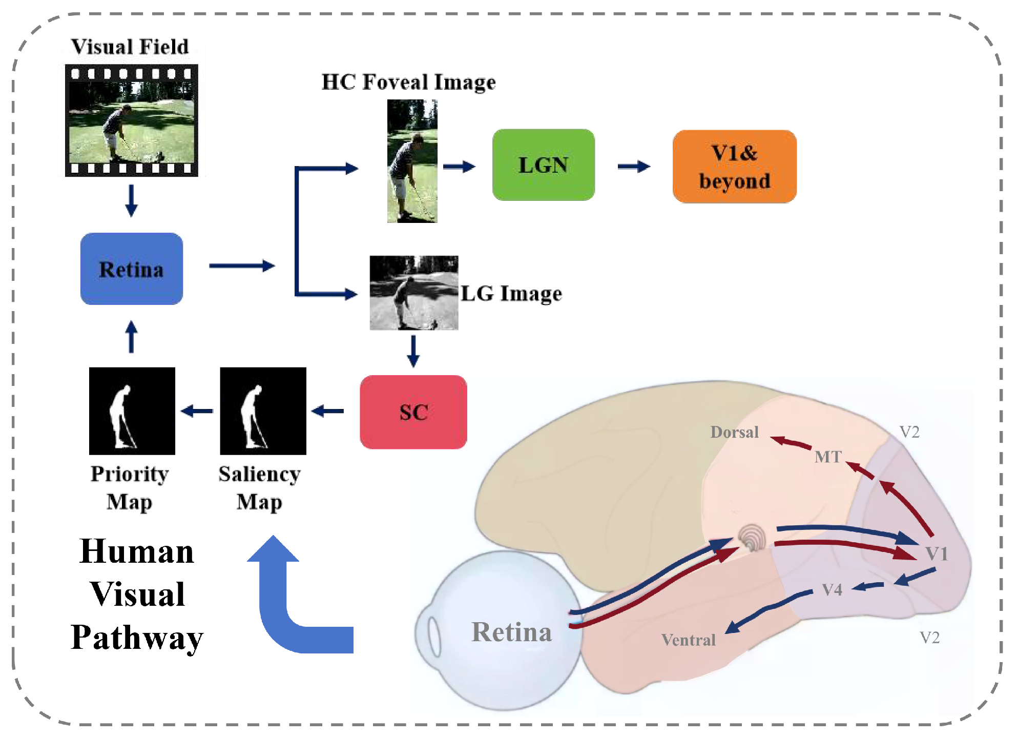 Biomimetics 10 00192 g001