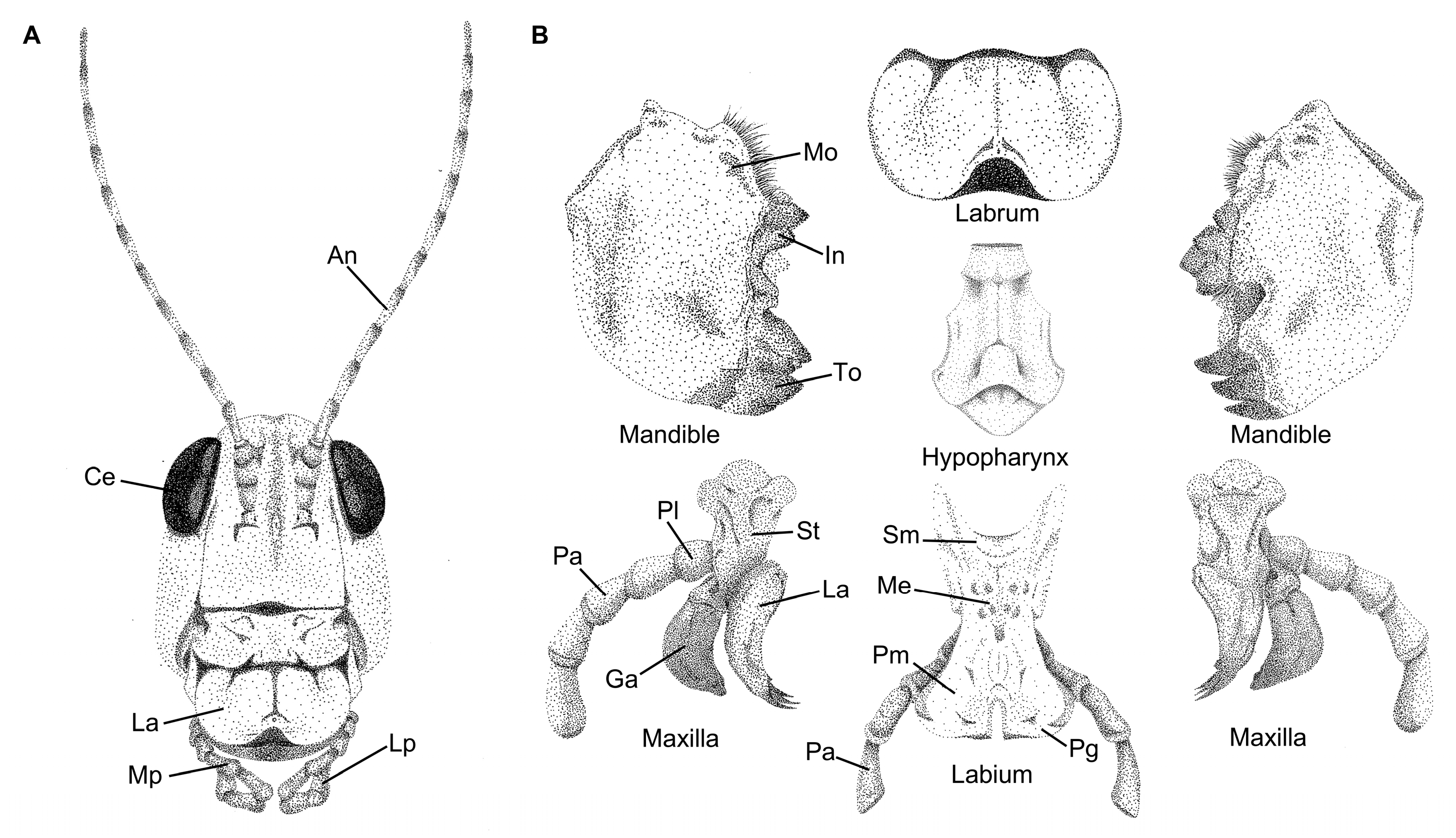 Biomimetics 10 00196 g003 Biomimetics 10 00196 g003