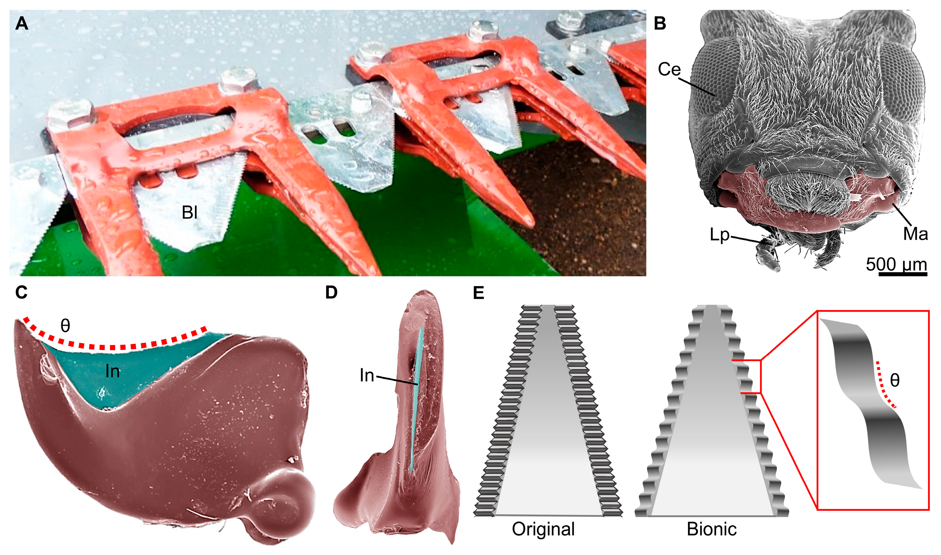 Biomimetics 10 00196 g004 Biomimetics 10 00196 g004