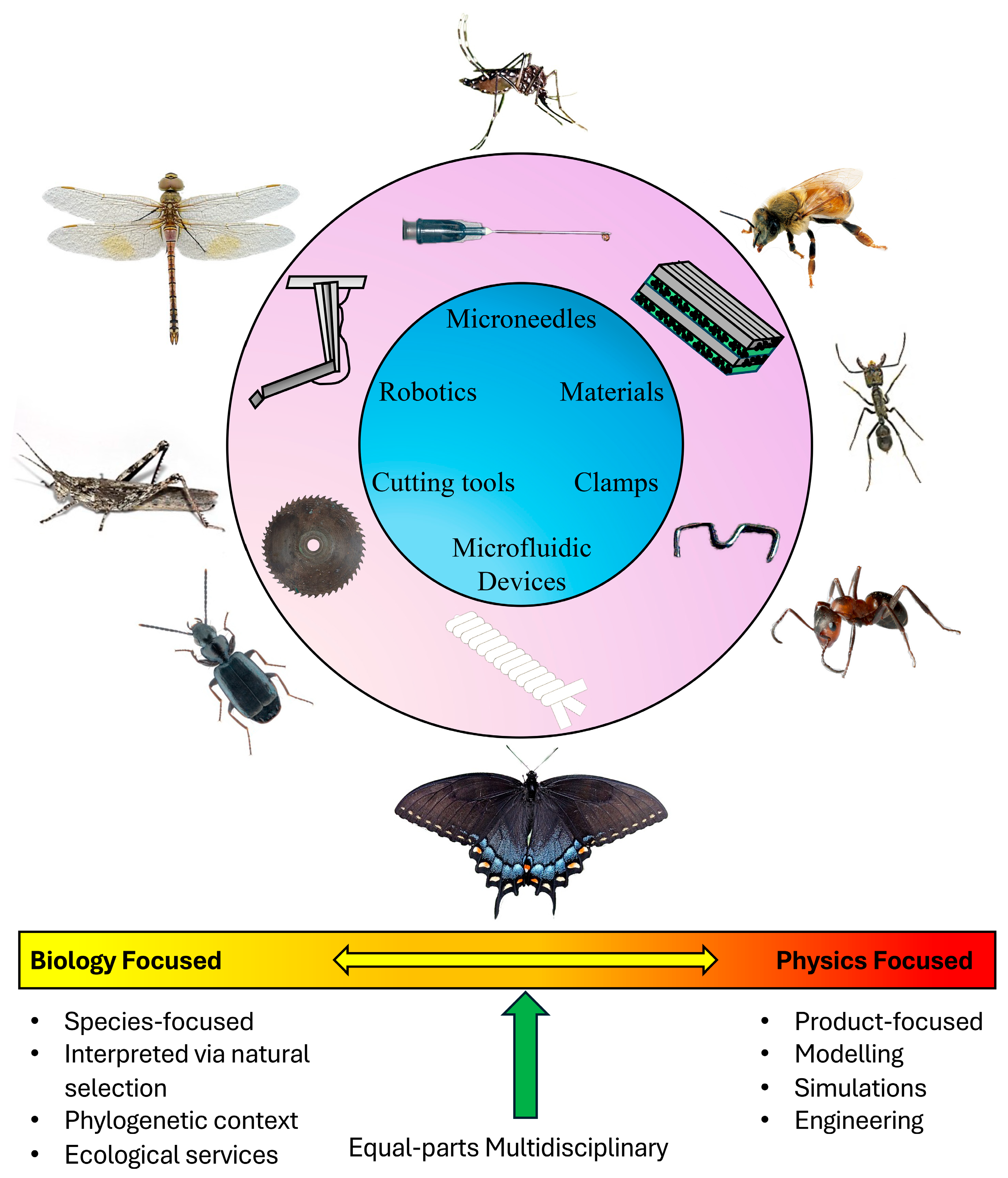 Biomimetics 10 00196 g010 Biomimetics 10 00196 g010