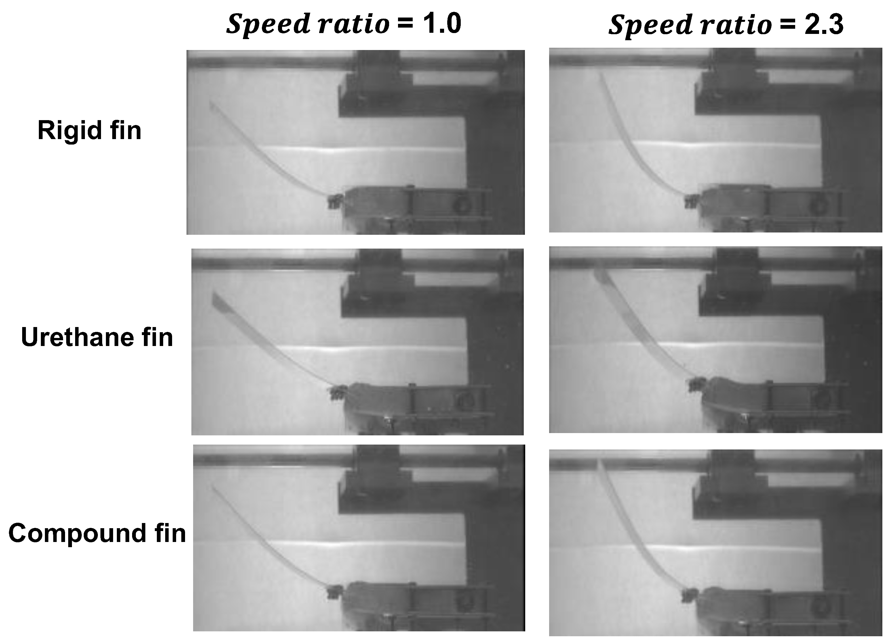 Biomimetics 10 00198 g013