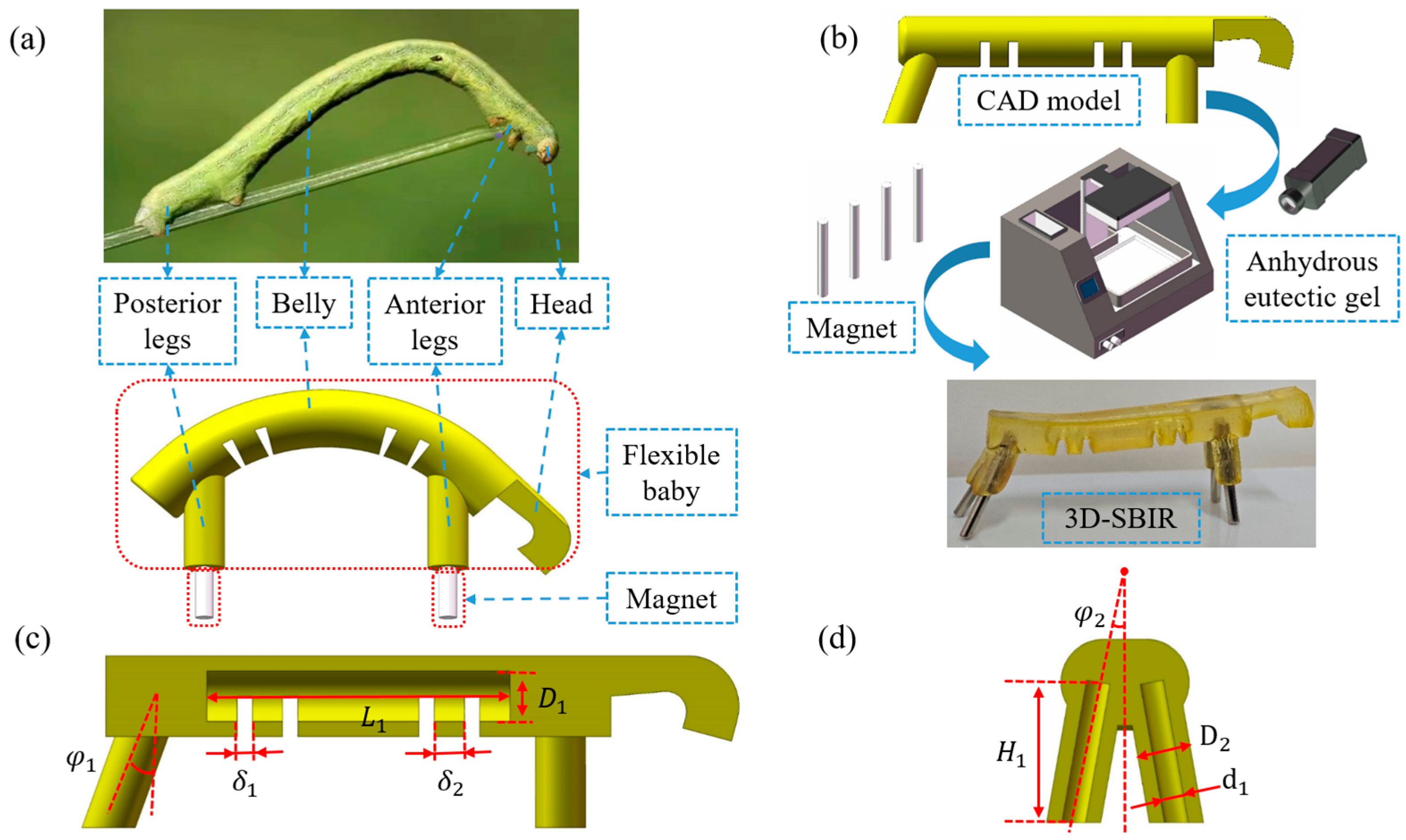Biomimetics 10 00202 g001