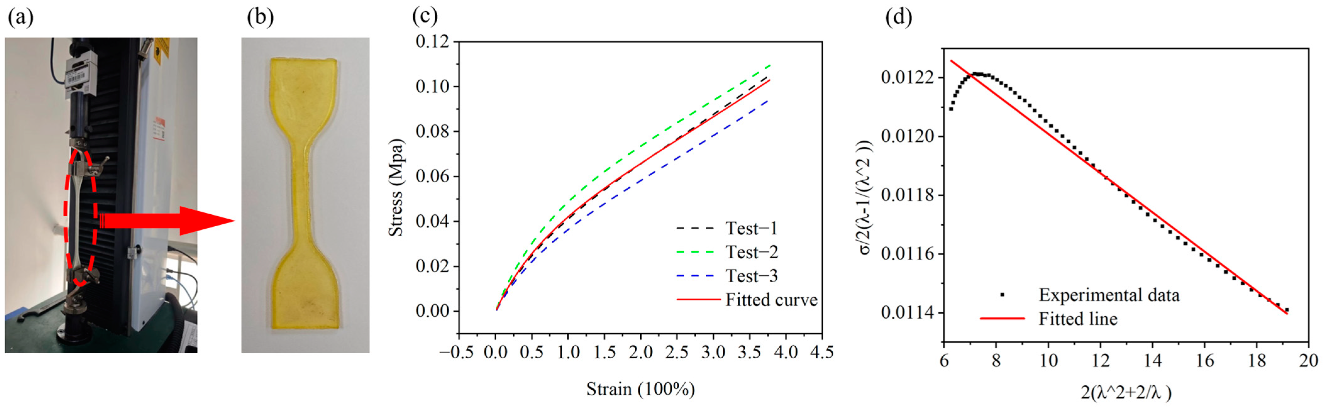 Biomimetics 10 00202 g003