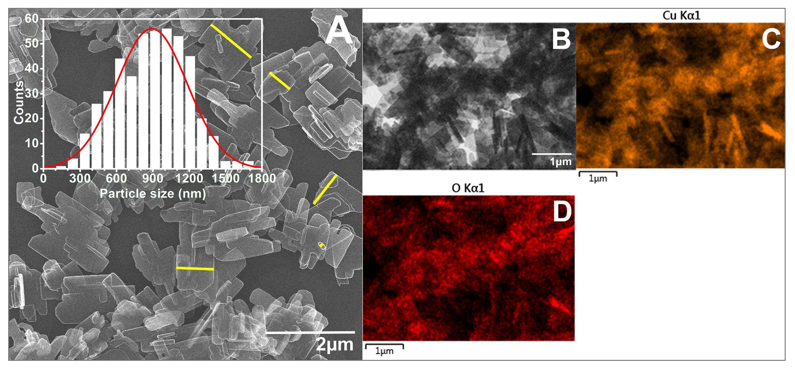 Biomimetics 10 00203 g005