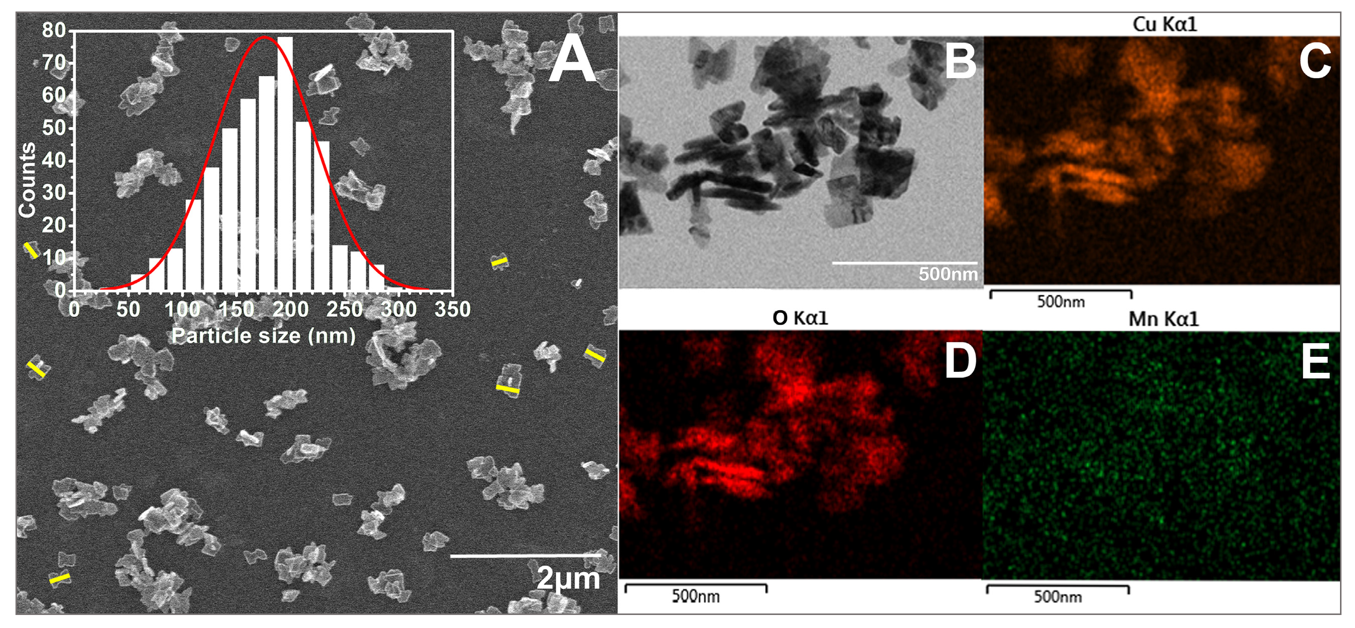 Biomimetics 10 00203 g006