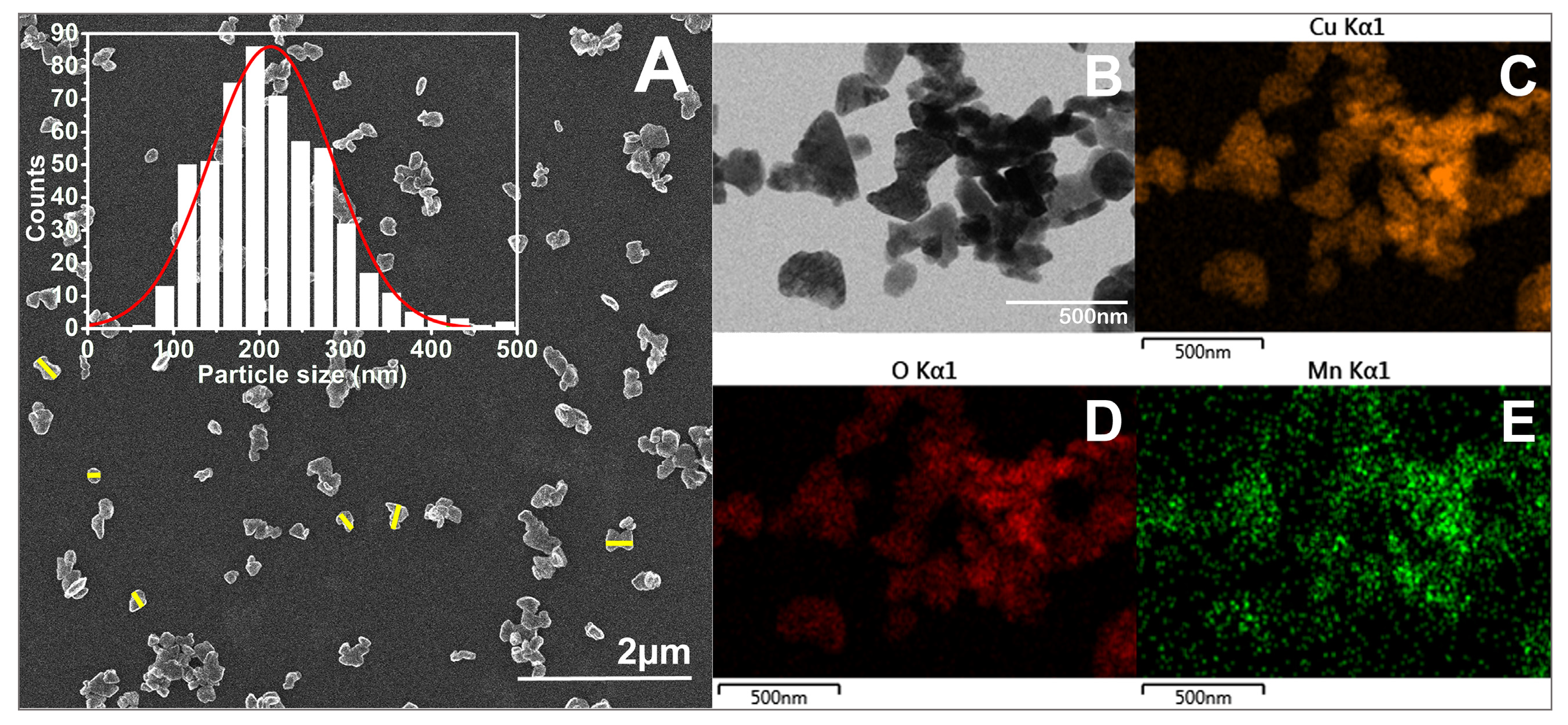 Biomimetics 10 00203 g007