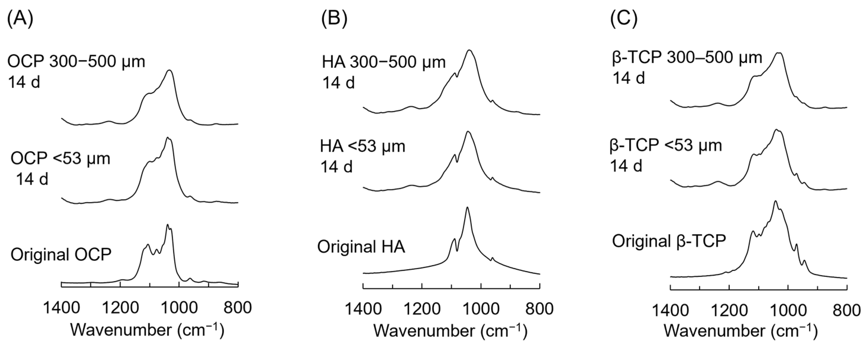 Biomimetics 10 00205 g007