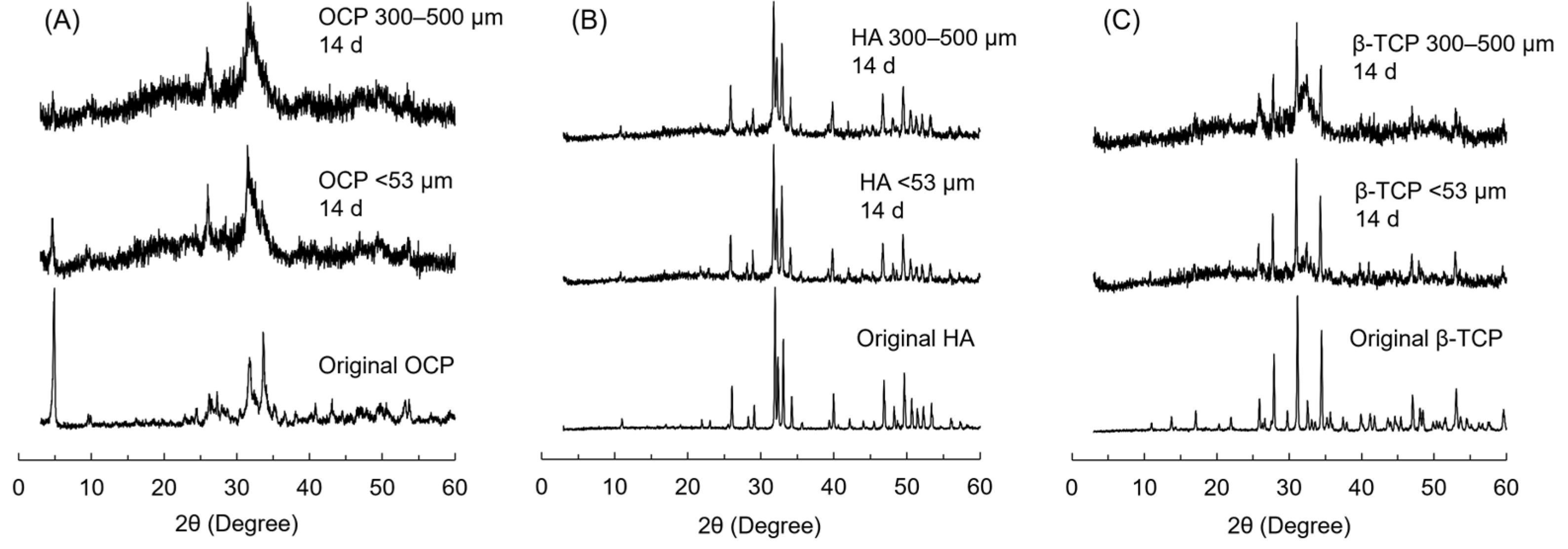 Biomimetics 10 00205 g008