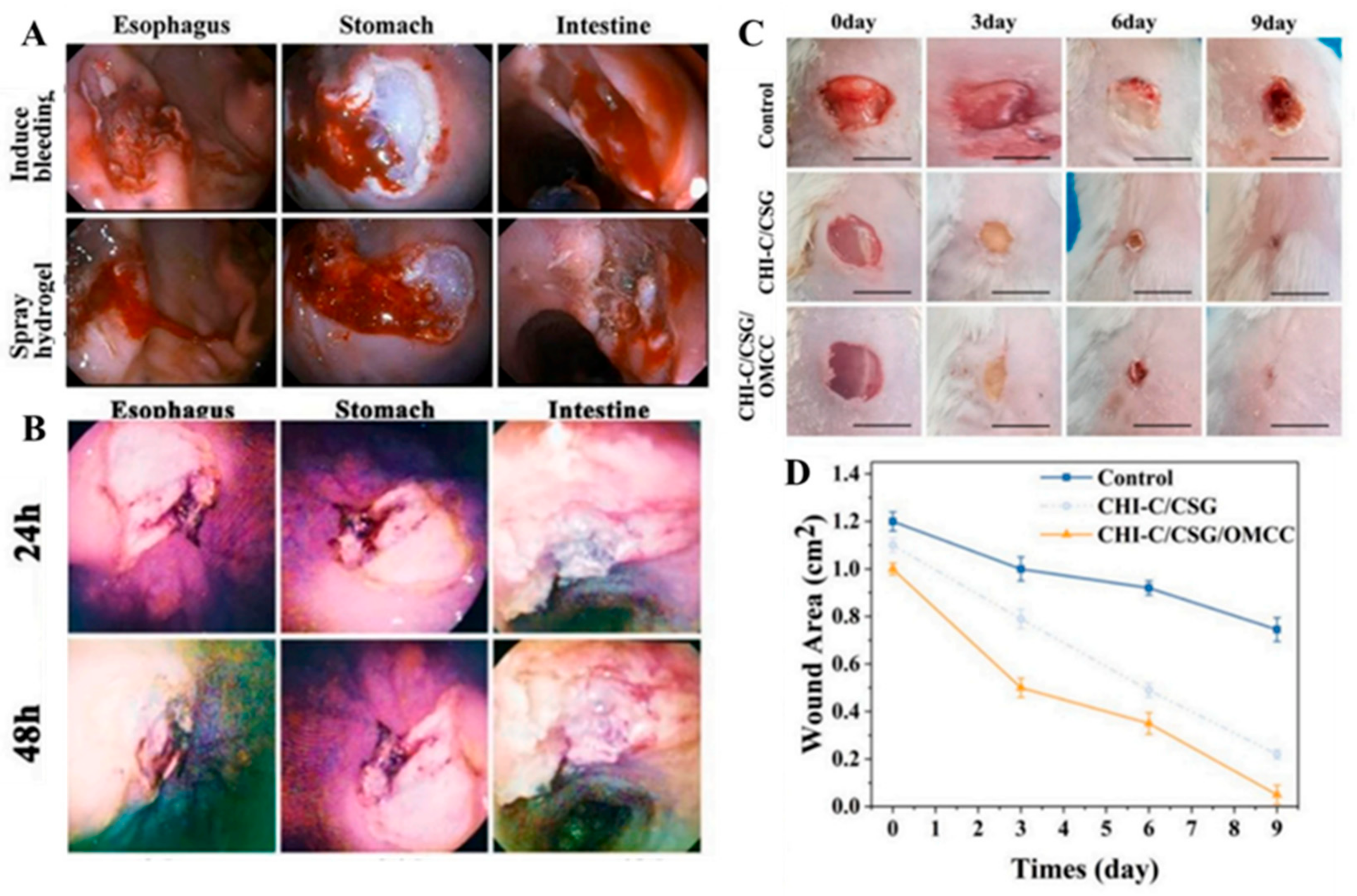Biomimetics 10 00206 g002