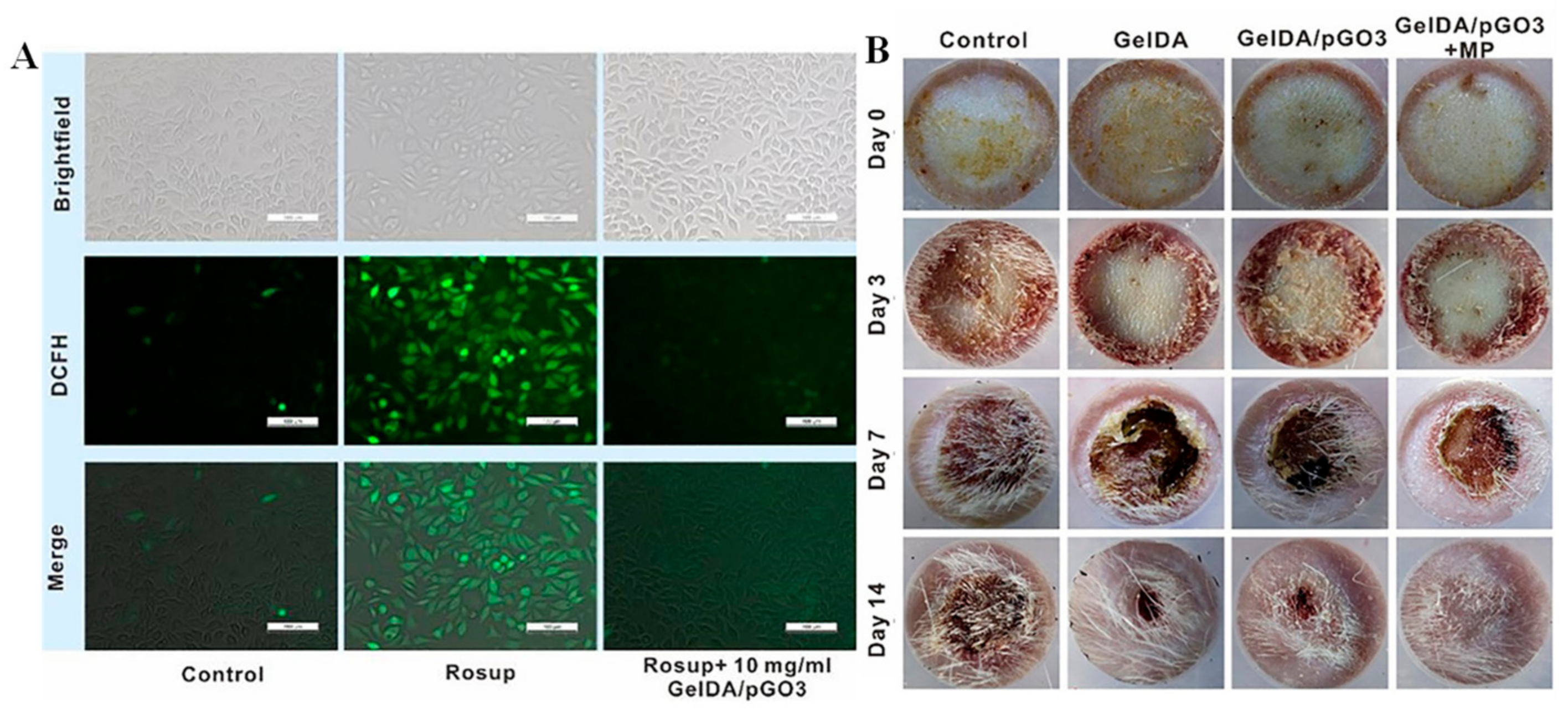 Biomimetics 10 00206 g006