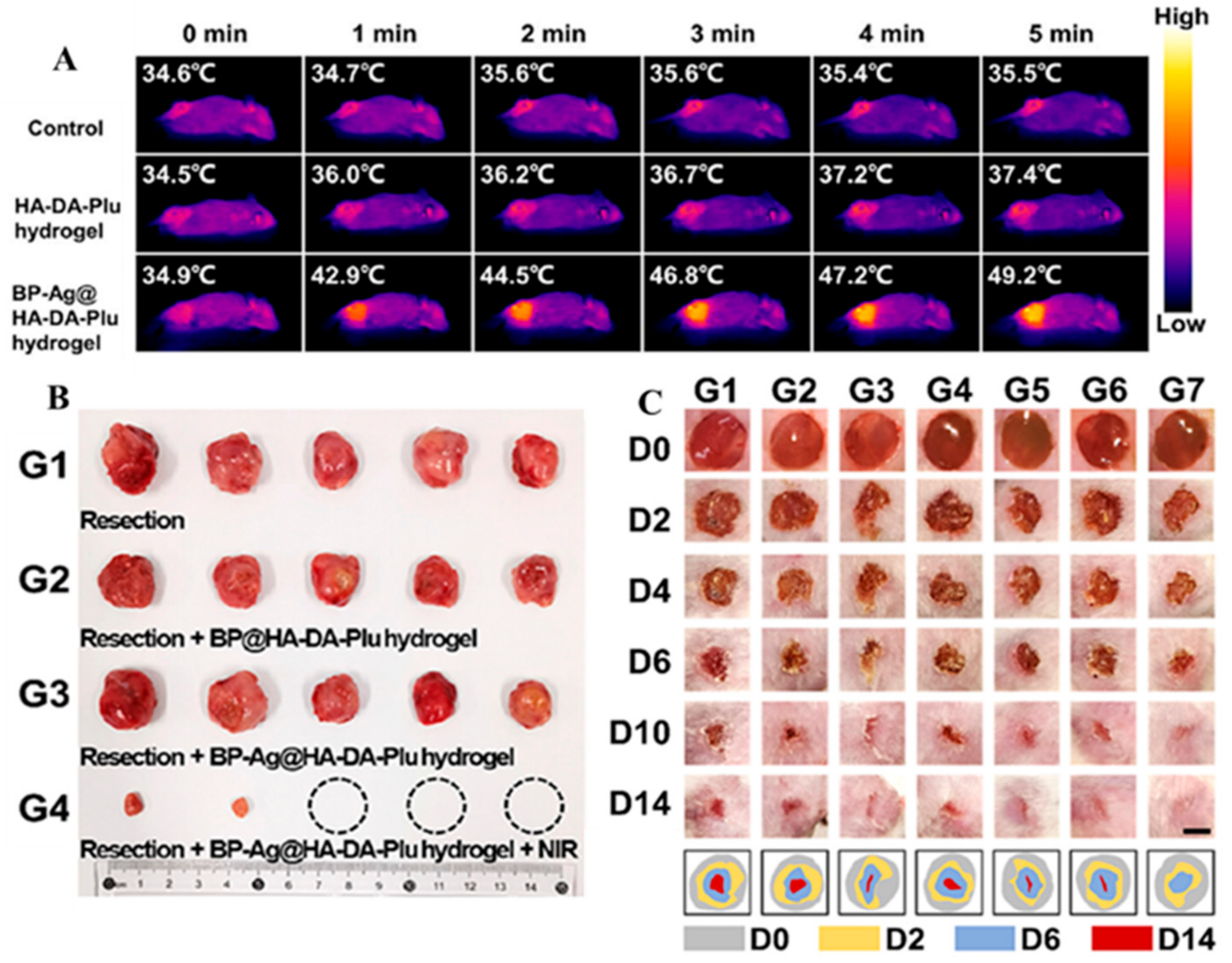 Biomimetics 10 00206 g009