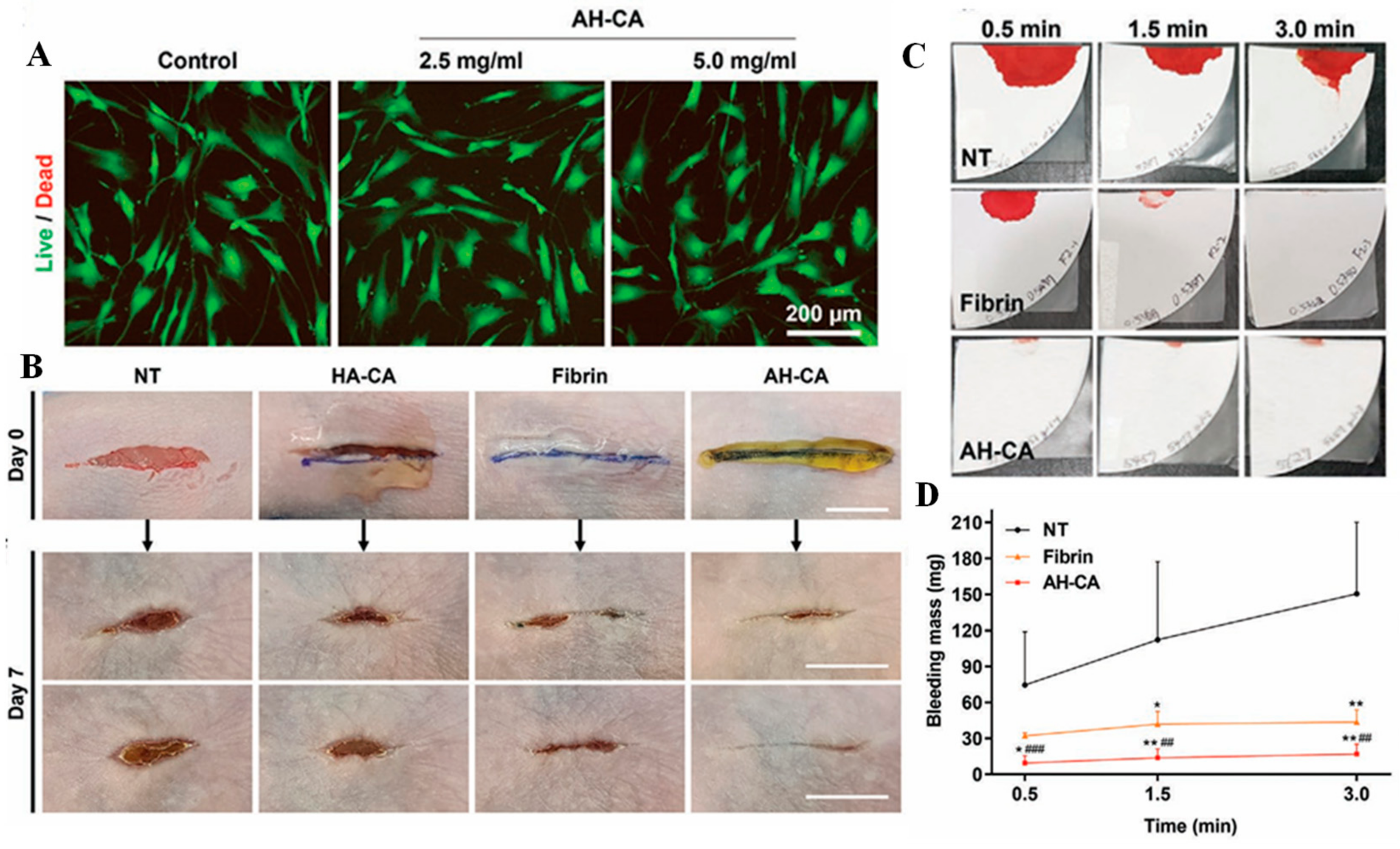 Biomimetics 10 00206 g010
