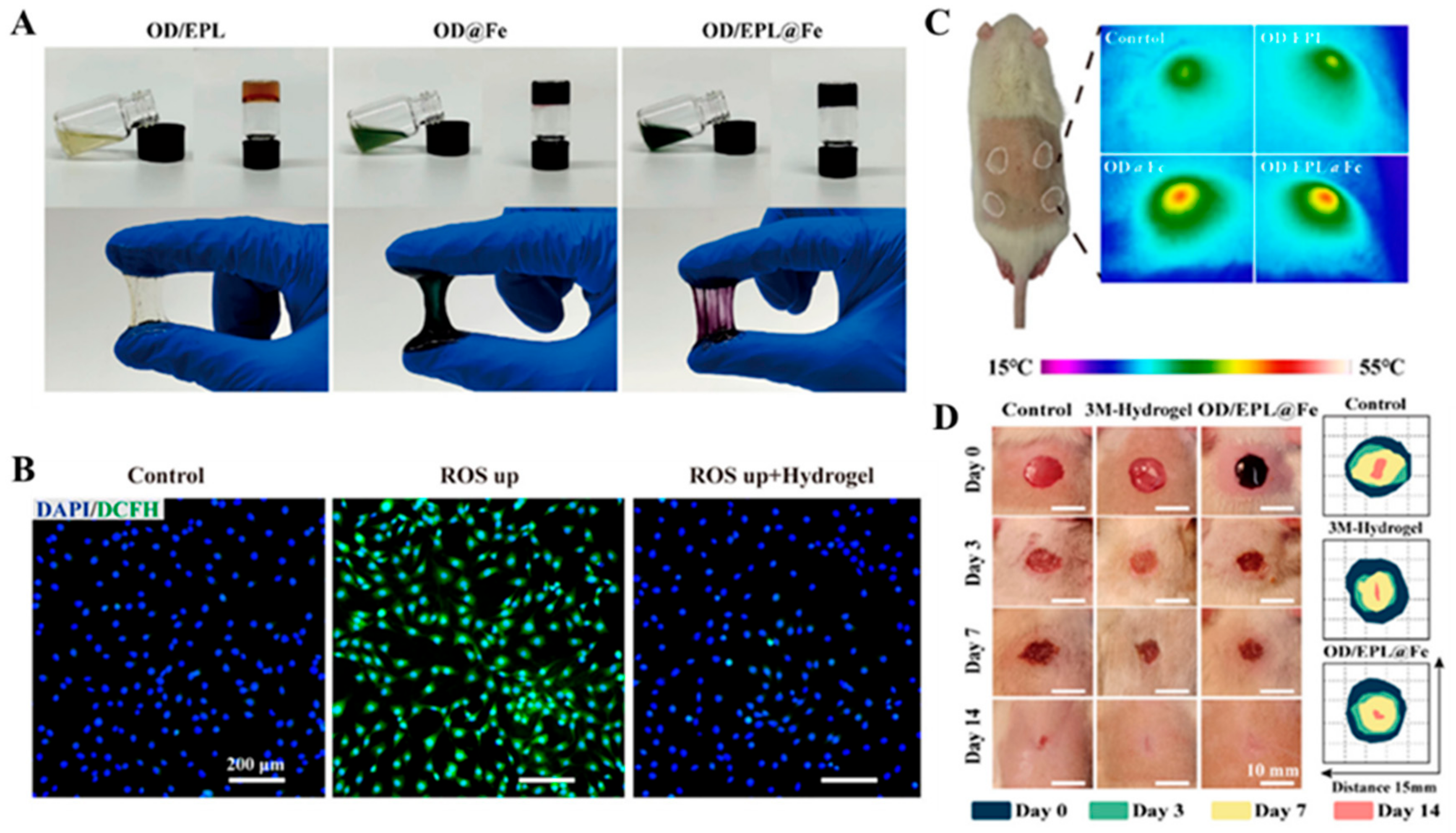 Biomimetics 10 00206 g011