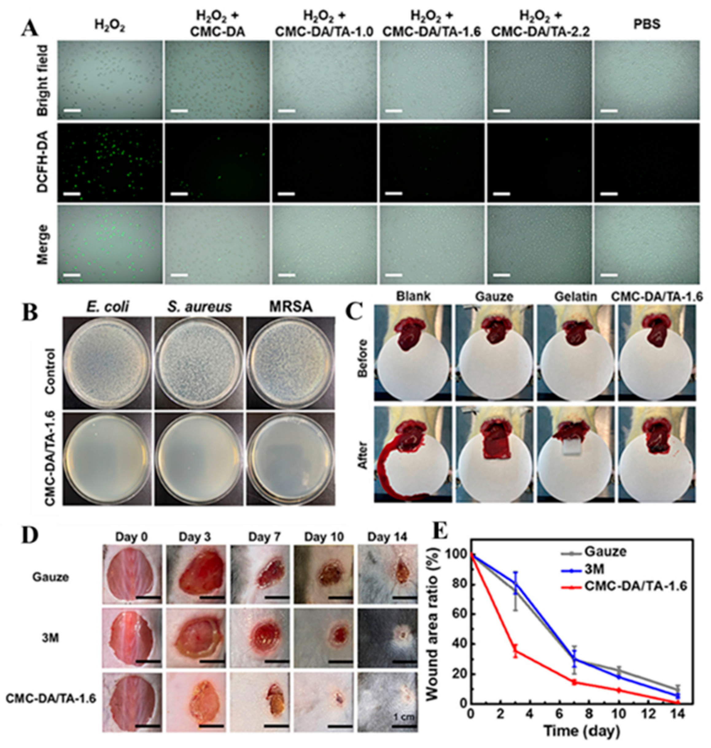 Biomimetics 10 00206 g013
