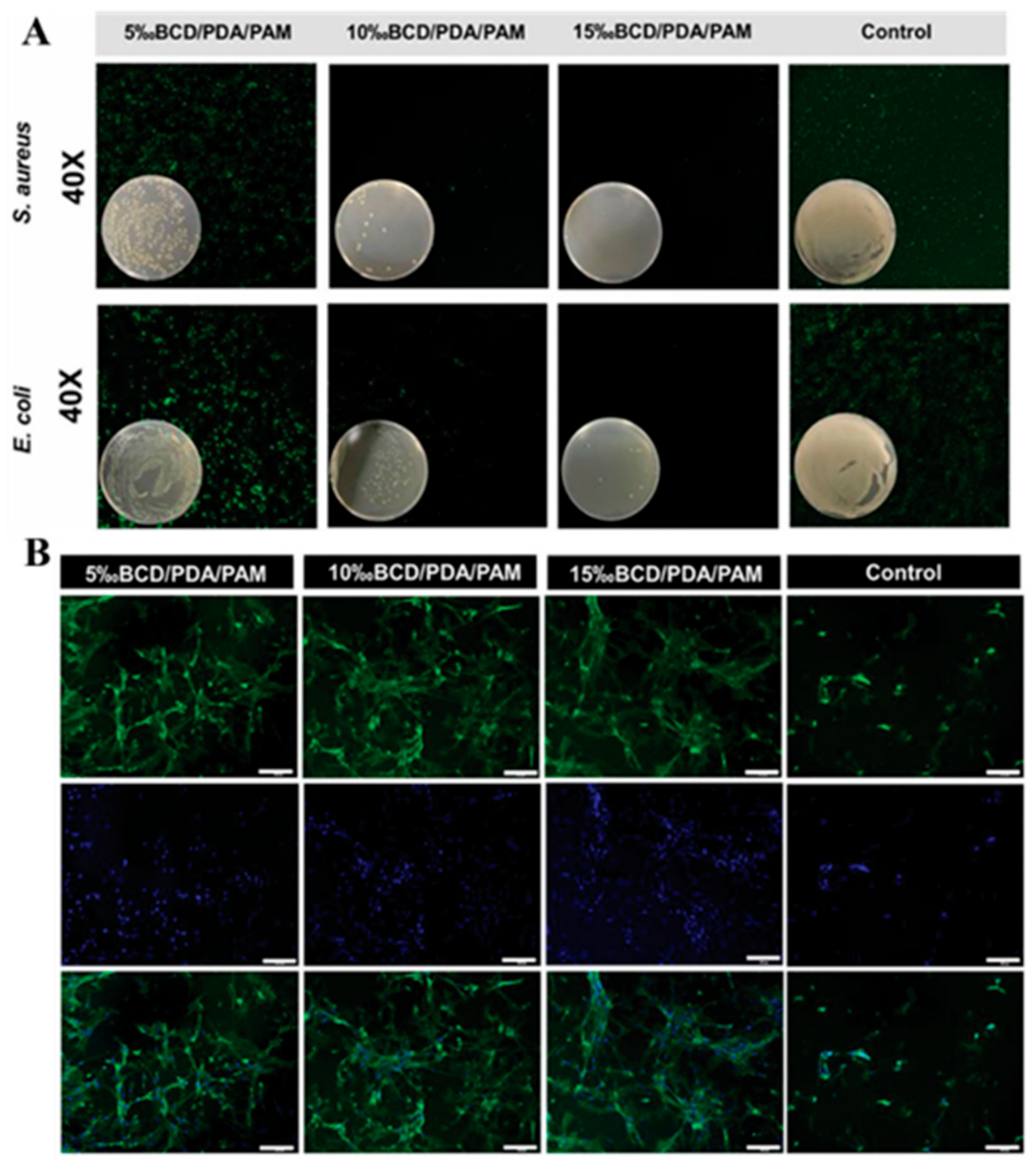 Biomimetics 10 00206 g014