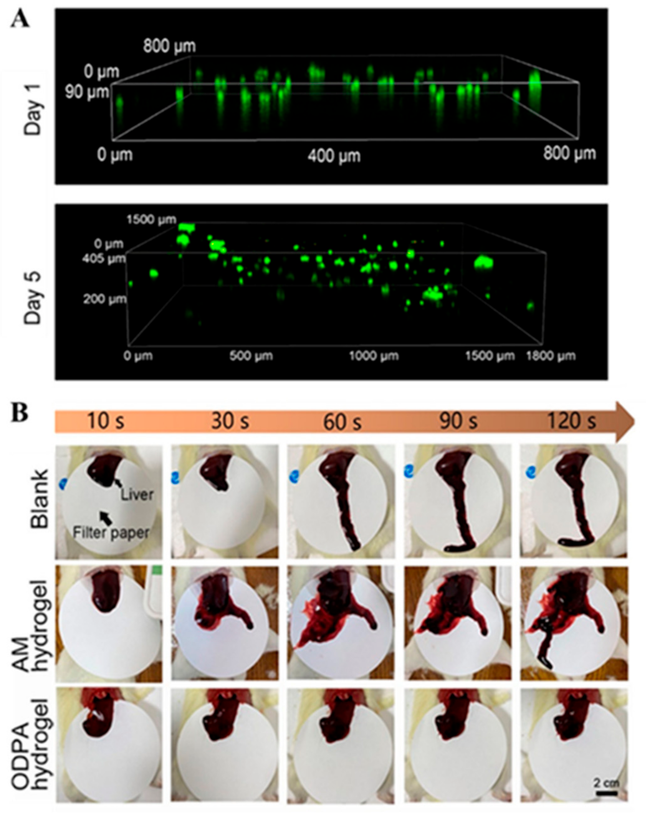 Biomimetics 10 00206 g015