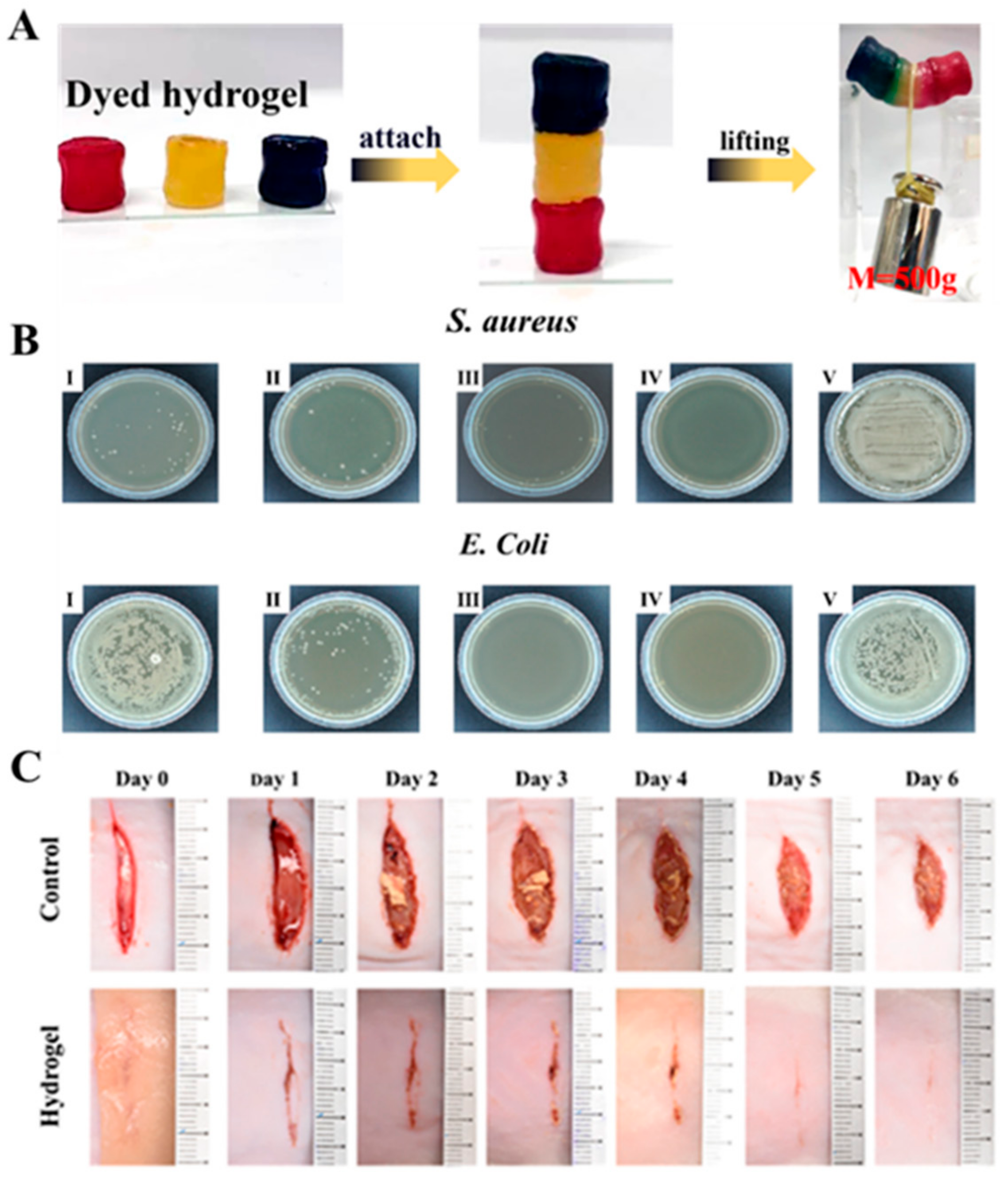 Biomimetics 10 00206 g017
