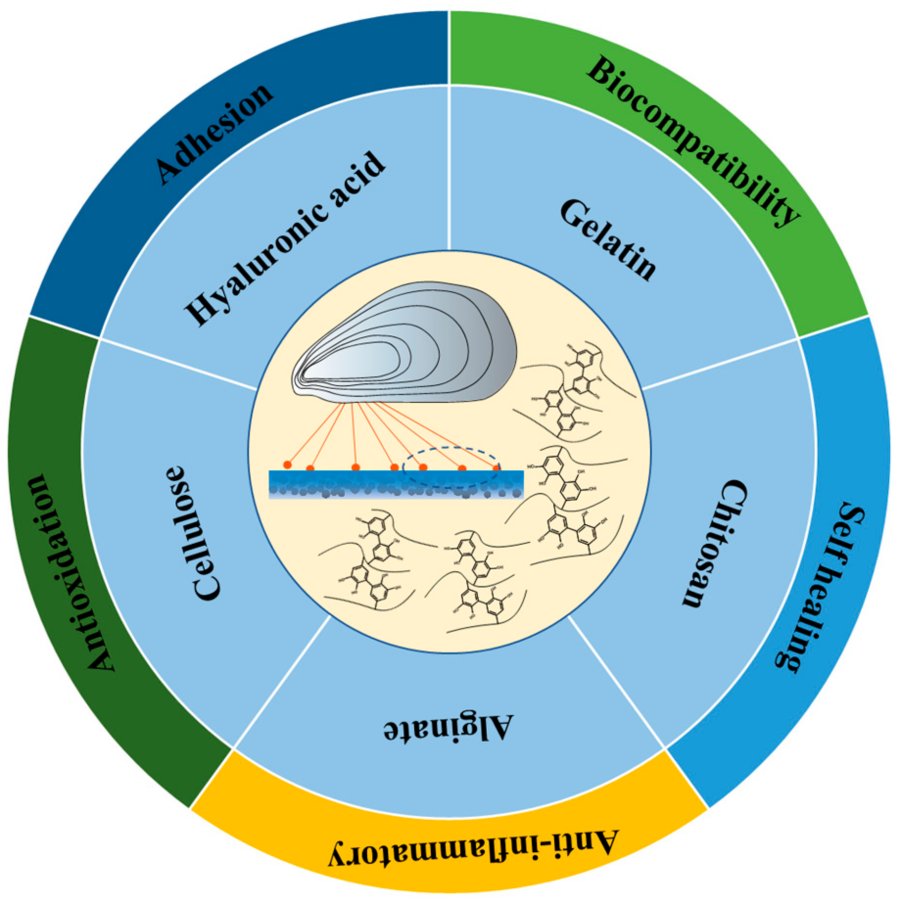 Biomimetics 10 00206 sch001