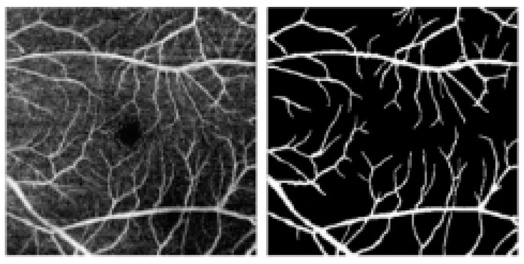 Biomimetics 10 00207 g001