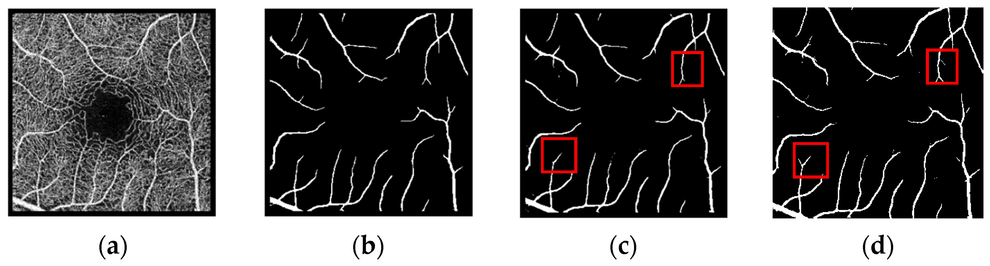 Biomimetics 10 00207 g006