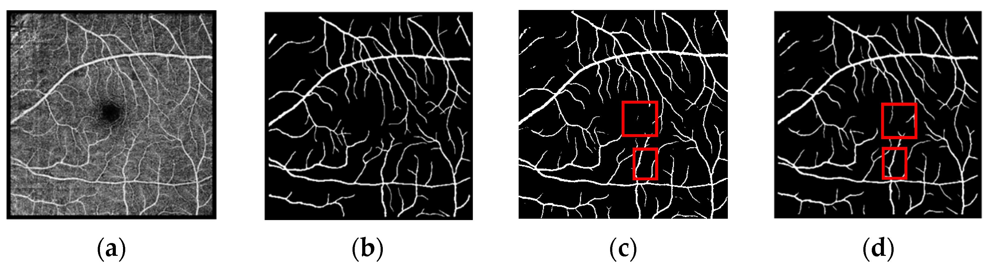 Biomimetics 10 00207 g008