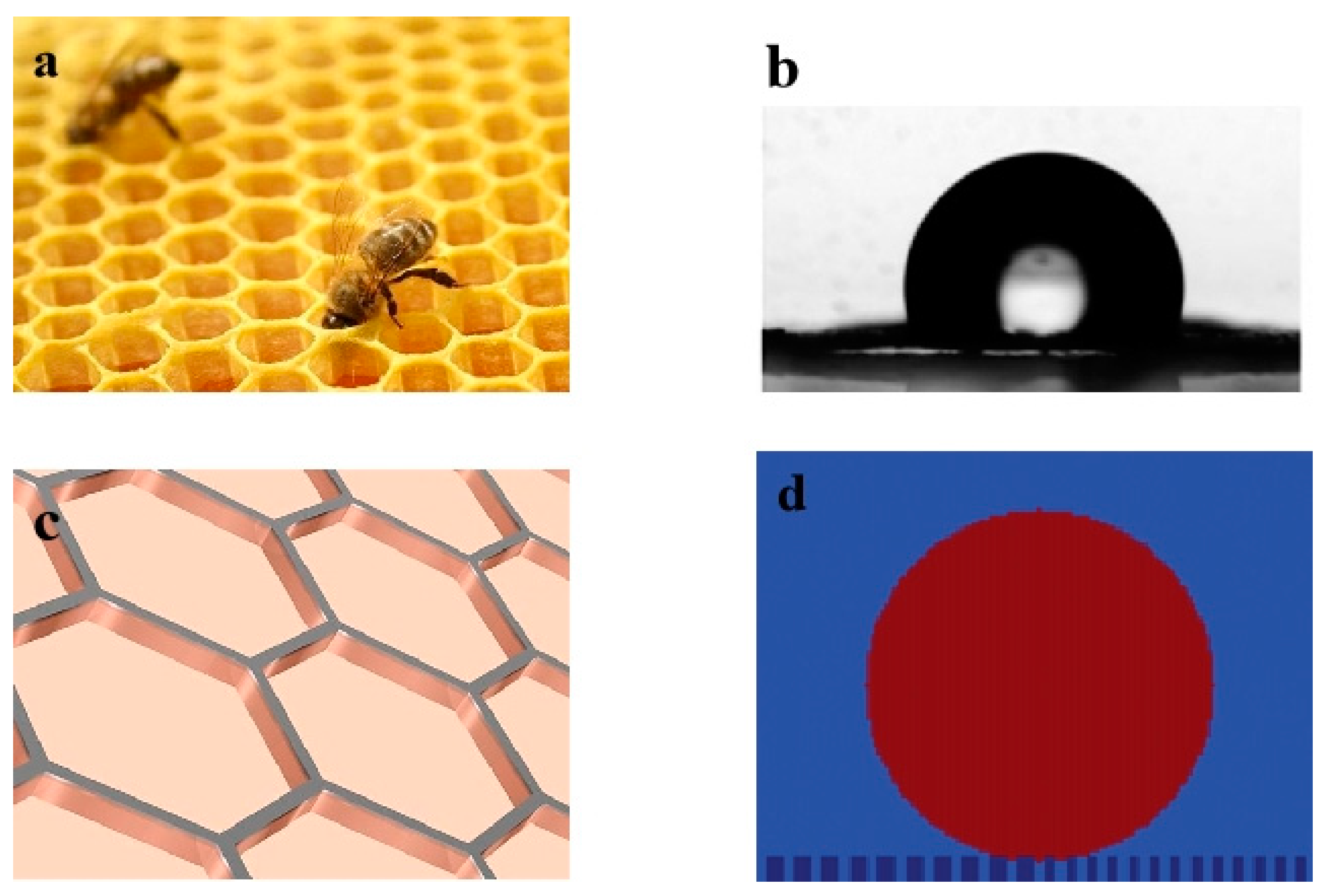Biomimetics 10 00209 g001