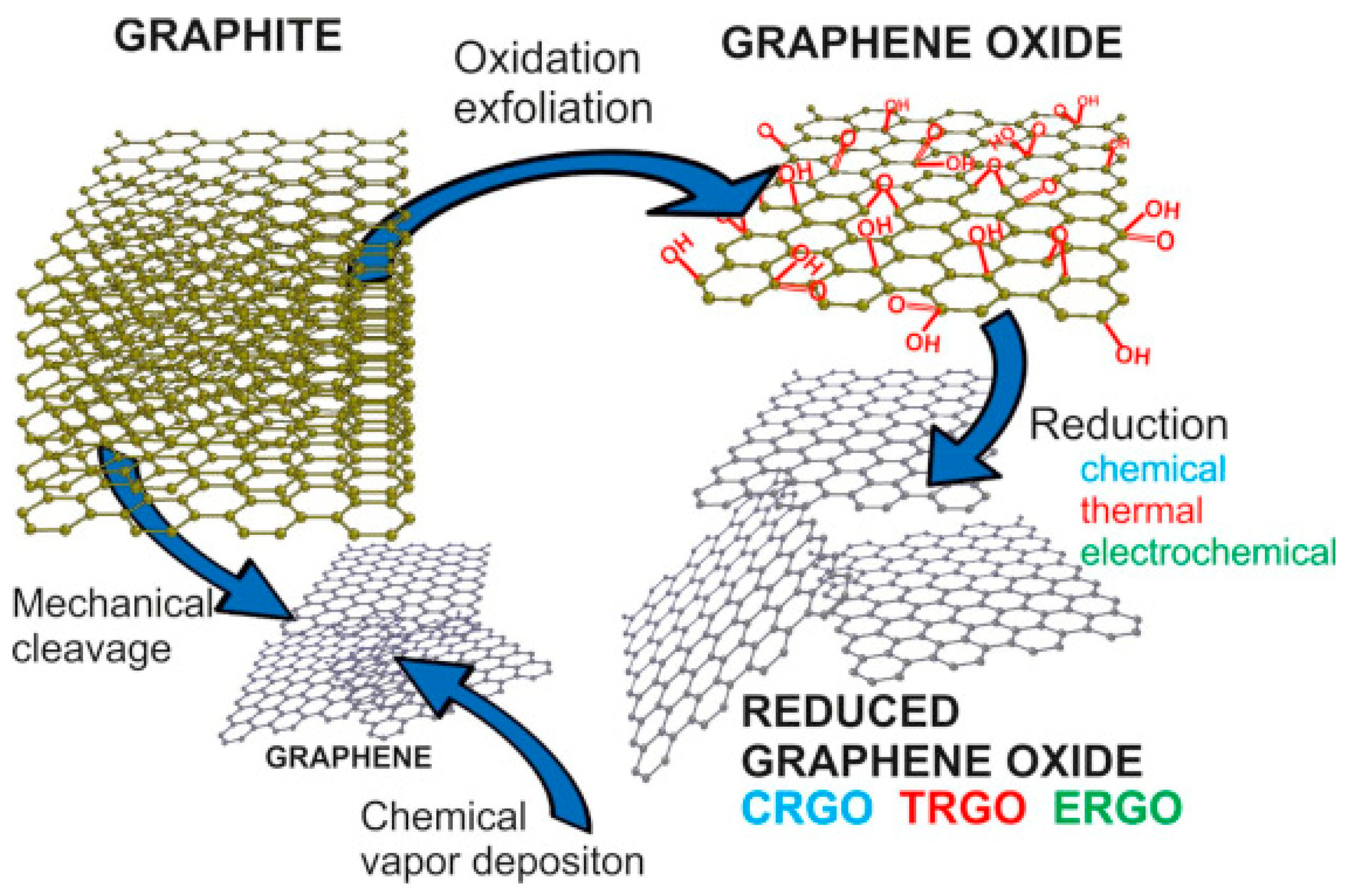 Biomimetics 10 00213 g001