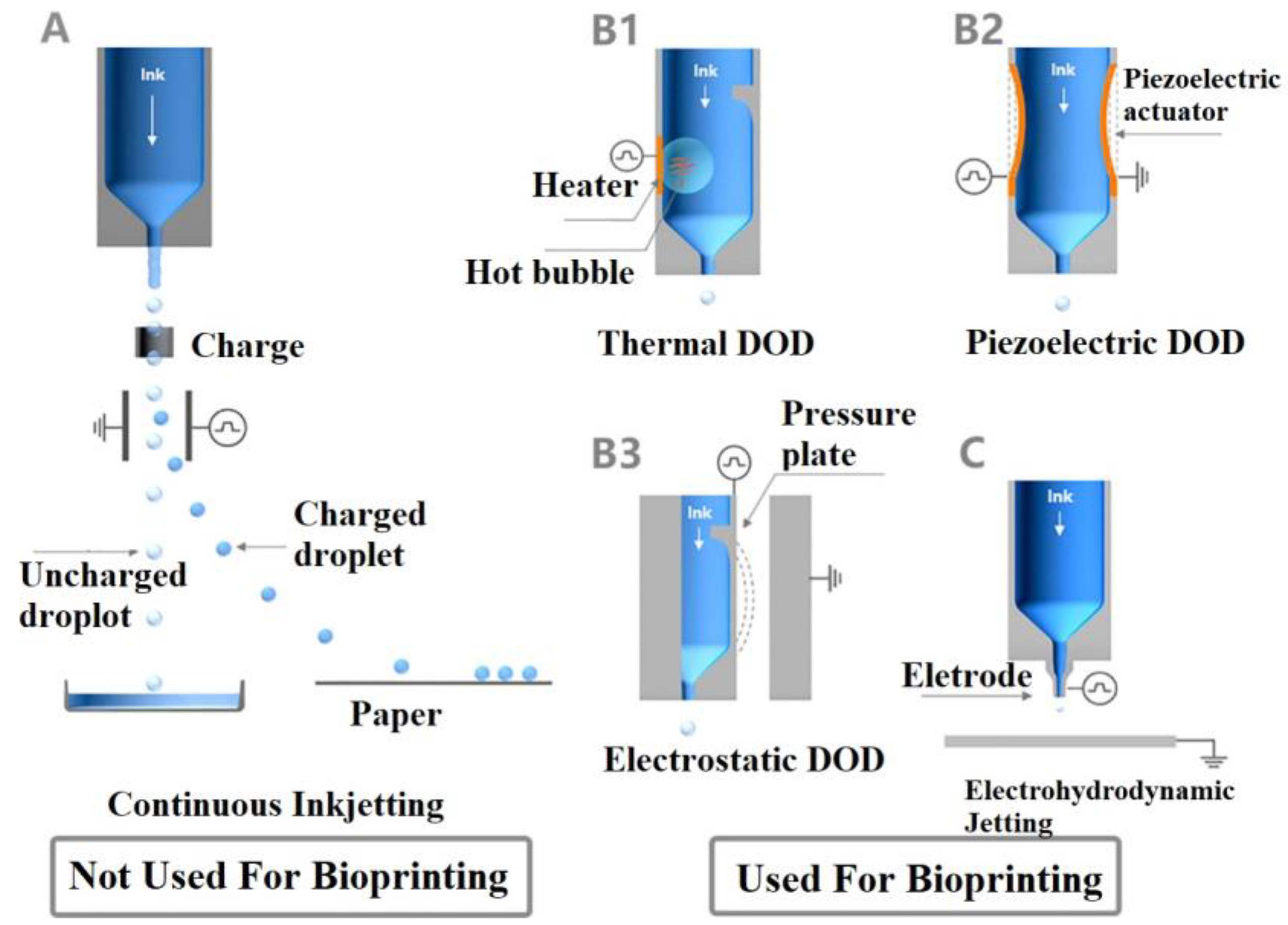 Biomimetics 10 00213 g003