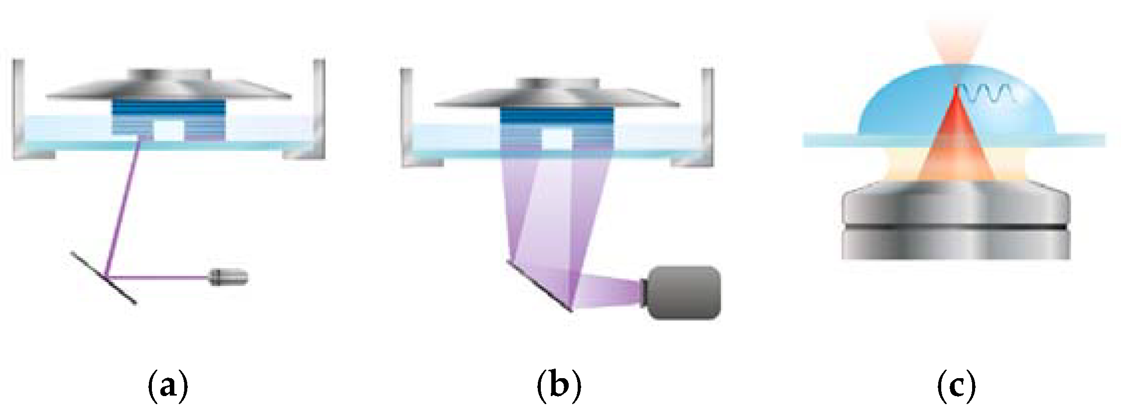 Biomimetics 10 00213 g004