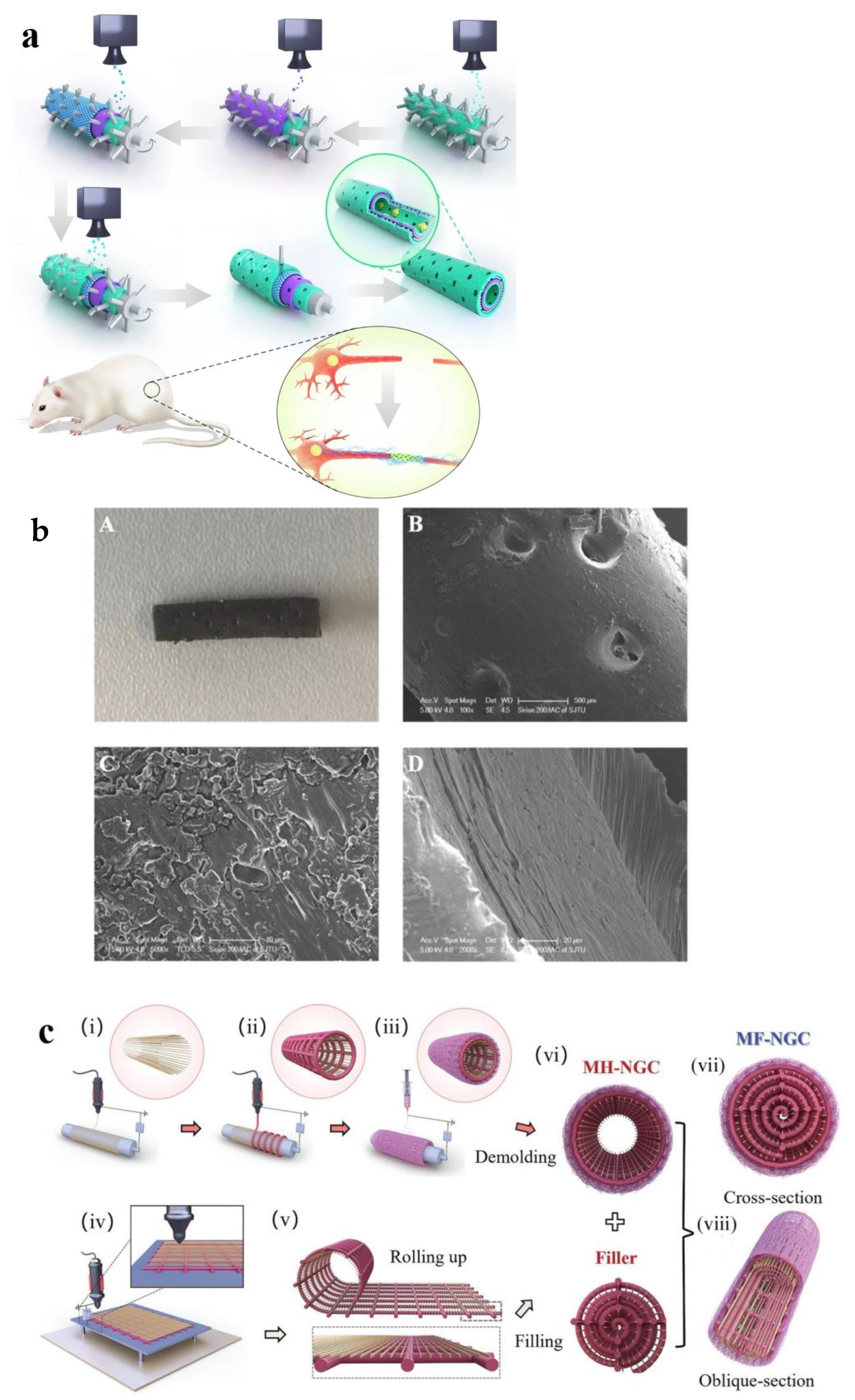 Biomimetics 10 00213 g006