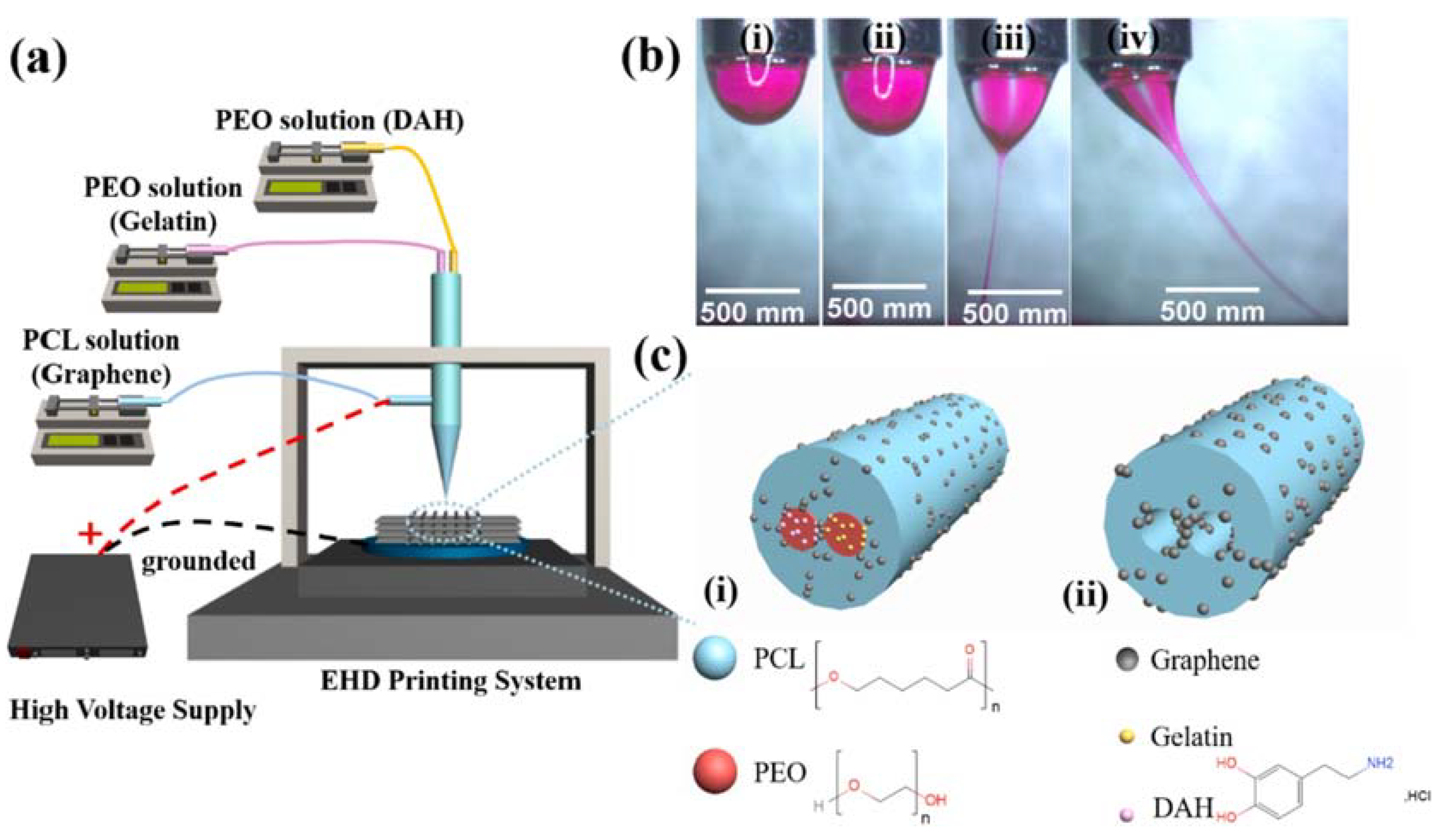 Biomimetics 10 00213 g007